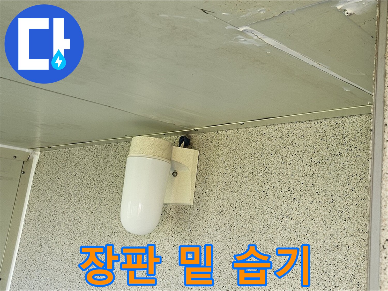 장판 밑 습기 확인 - 장판을 들춰보니 습기가 차 있는 모습입니다.