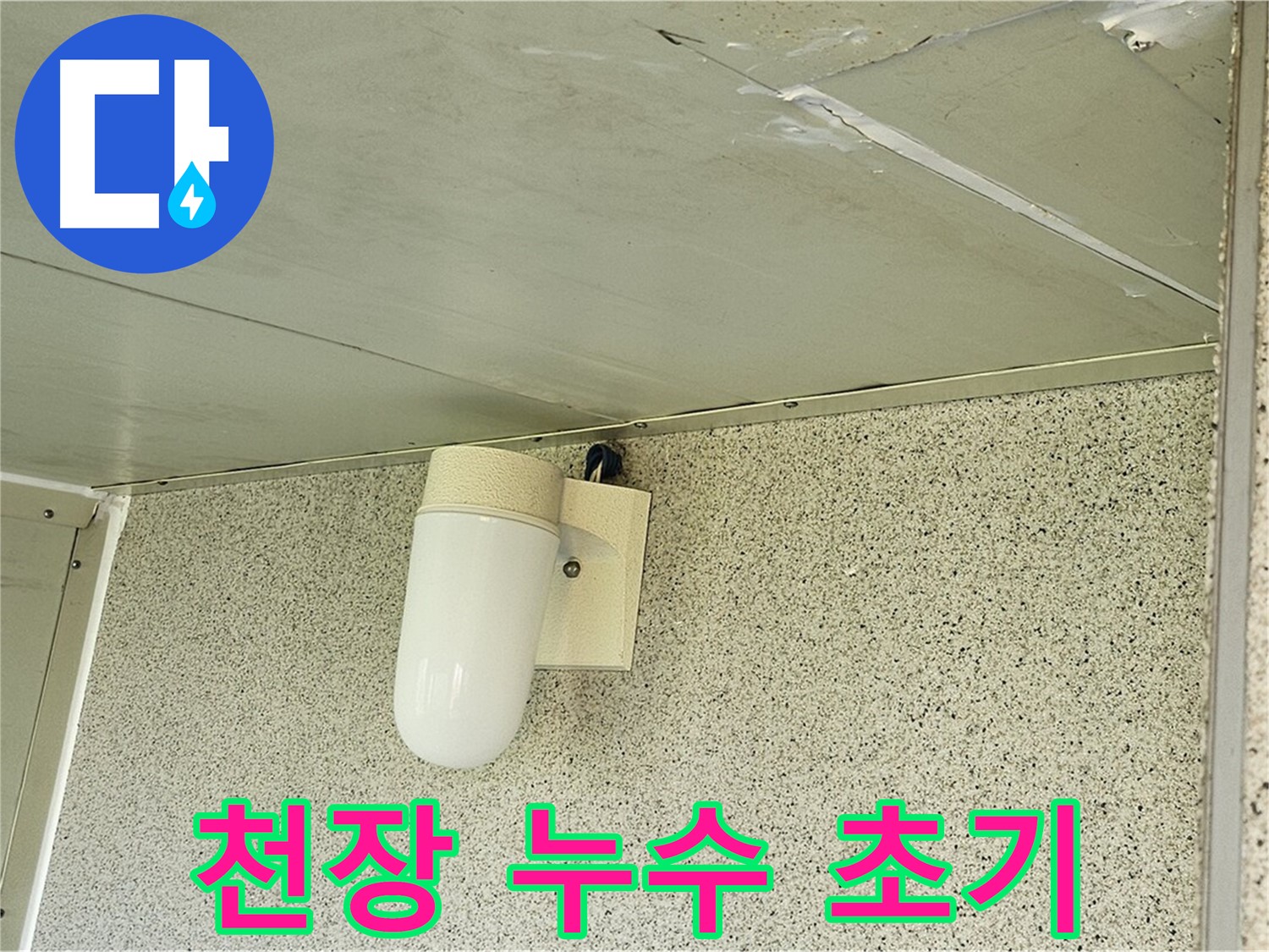 천장 누수 초기 증상 - 천장에 미세하게 젖은 부분과 곰팡이가 피기 시작한 모습이 담긴 사진입니다.