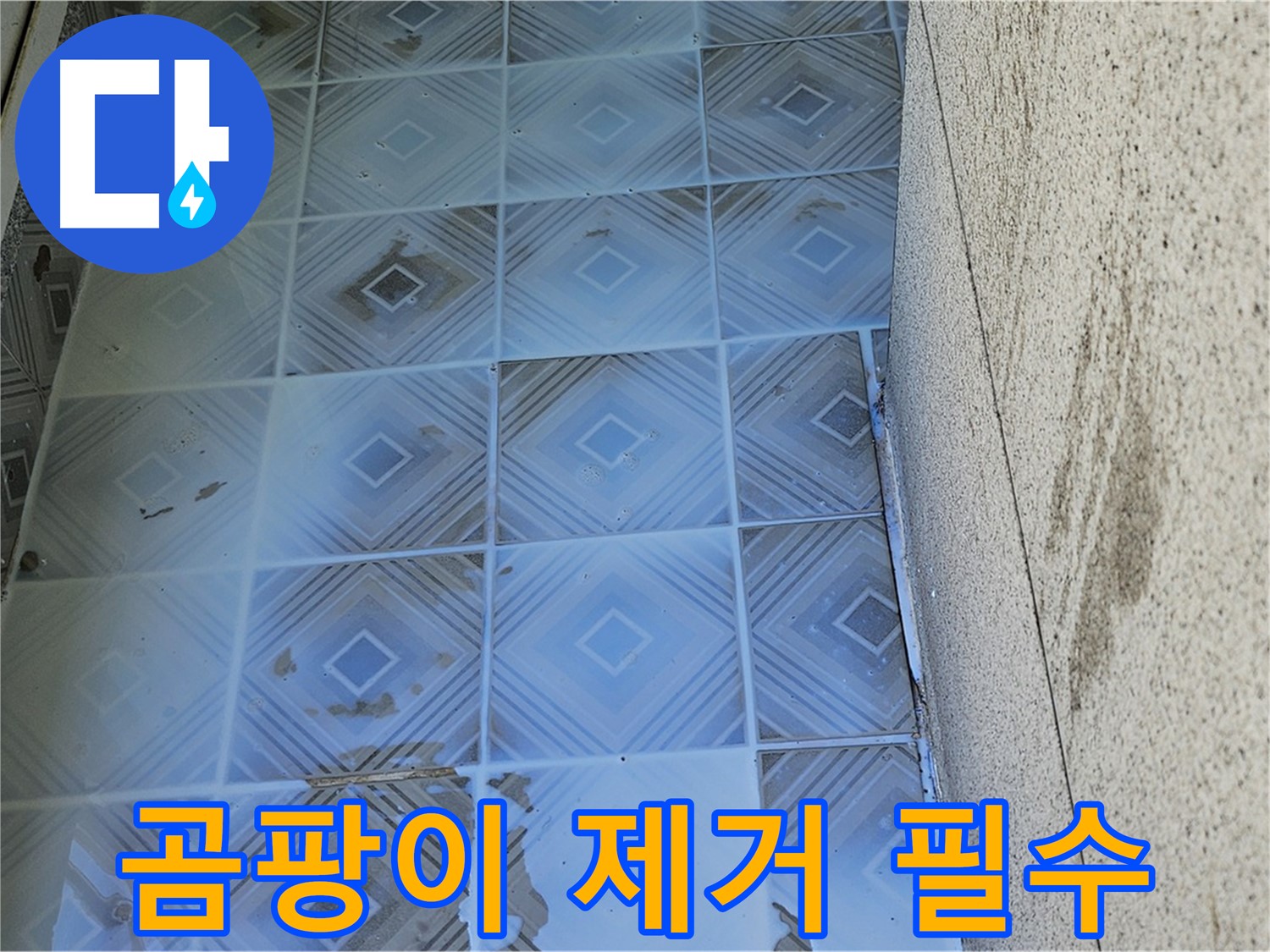 타일 누수 - 틈새 곰팡이 제거 - 깨끗한 우리집