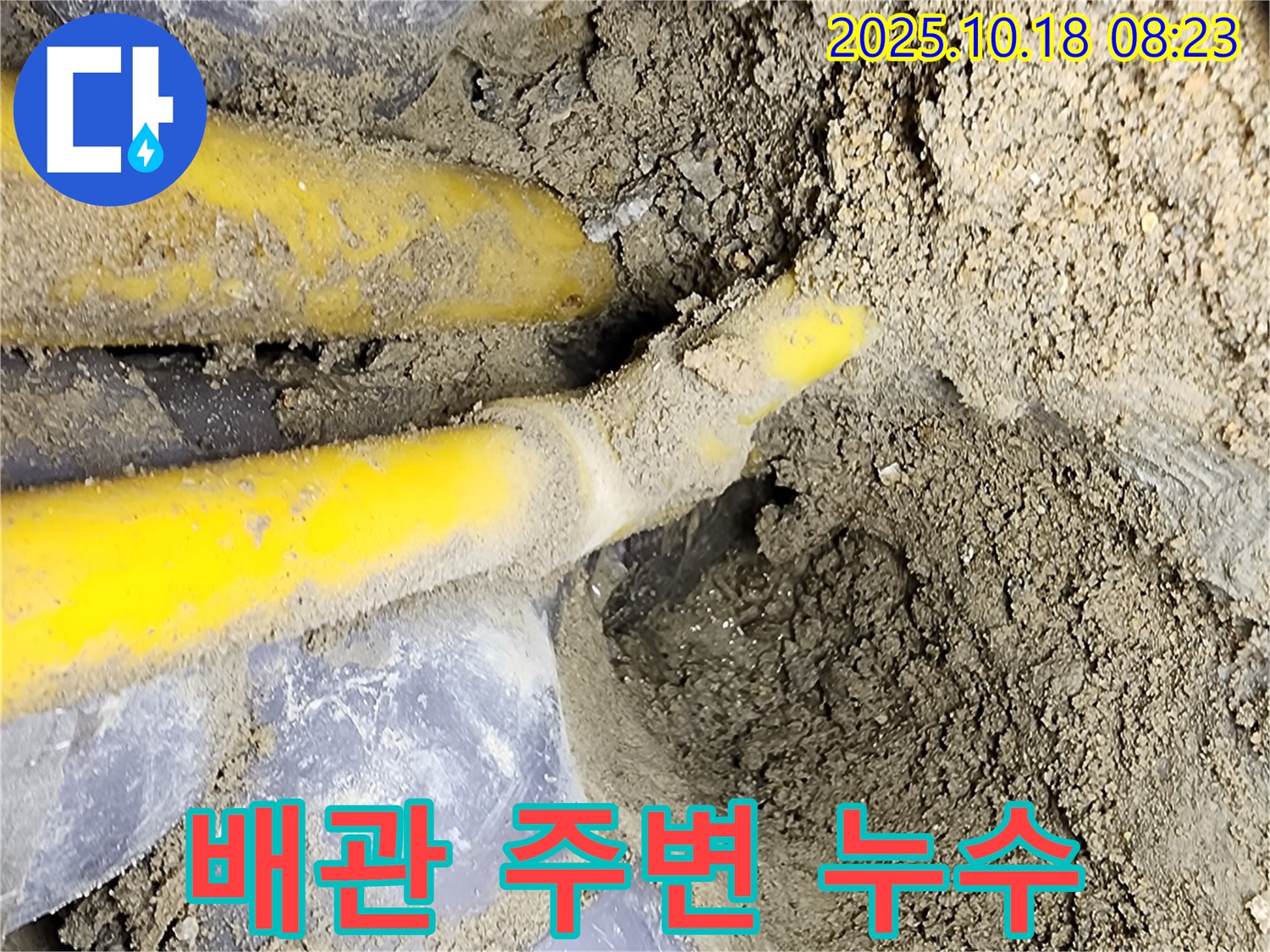 양주 장흥면 울대리 주택 누수 - 노란 가스 배관 주변에서 발견된 누수 지점