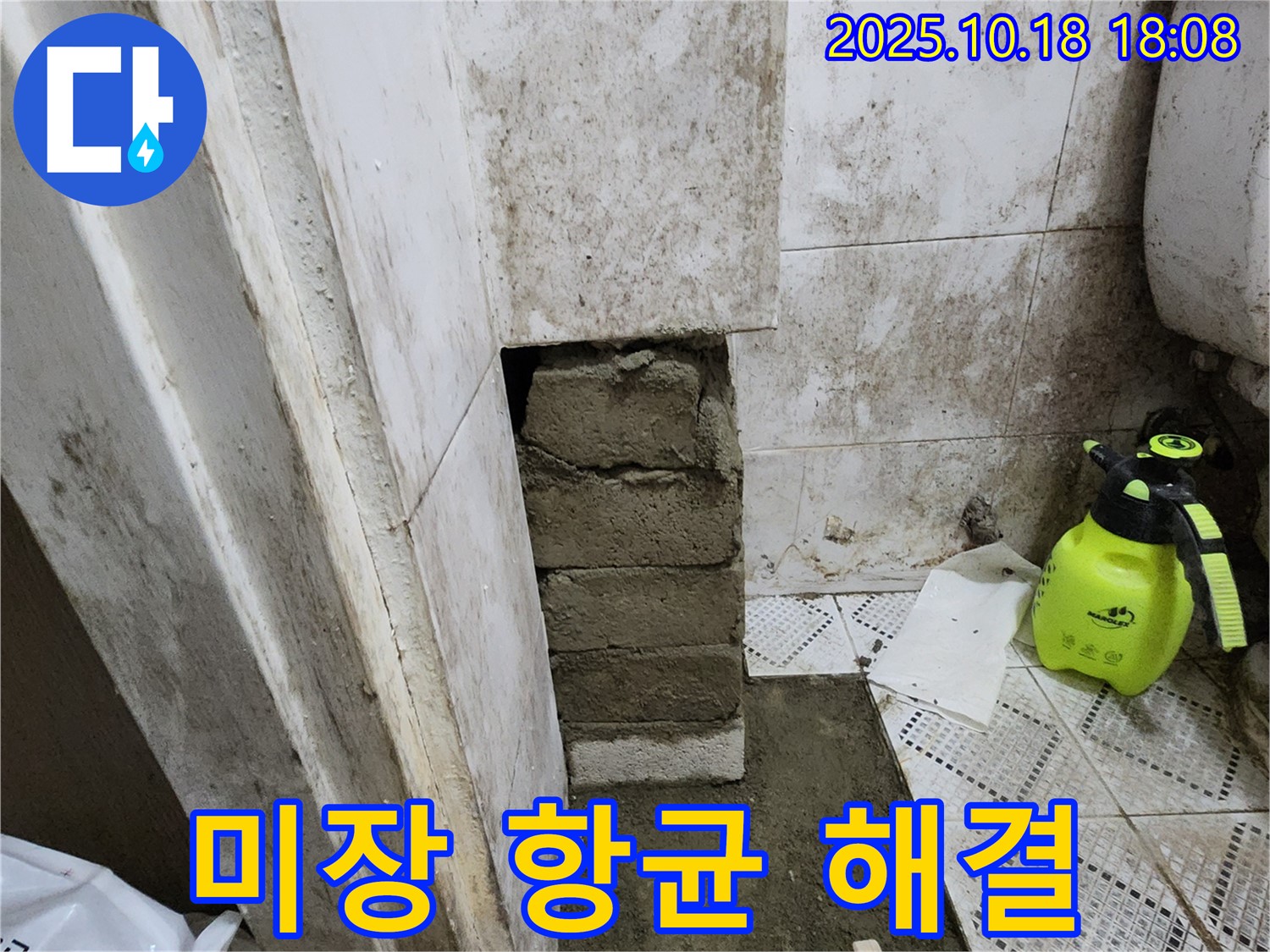 양주시 장흥면 욕실 벽 곰팡이 - 벽돌 미장 후 항균 방수 코팅으로 곰팡이 재발 완벽 해결!