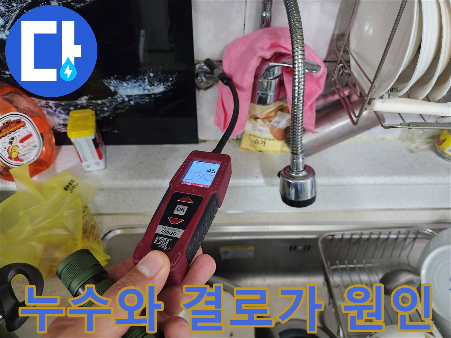 빌라 천장 곰팡이 - 누수 또는 결로 원인 진단