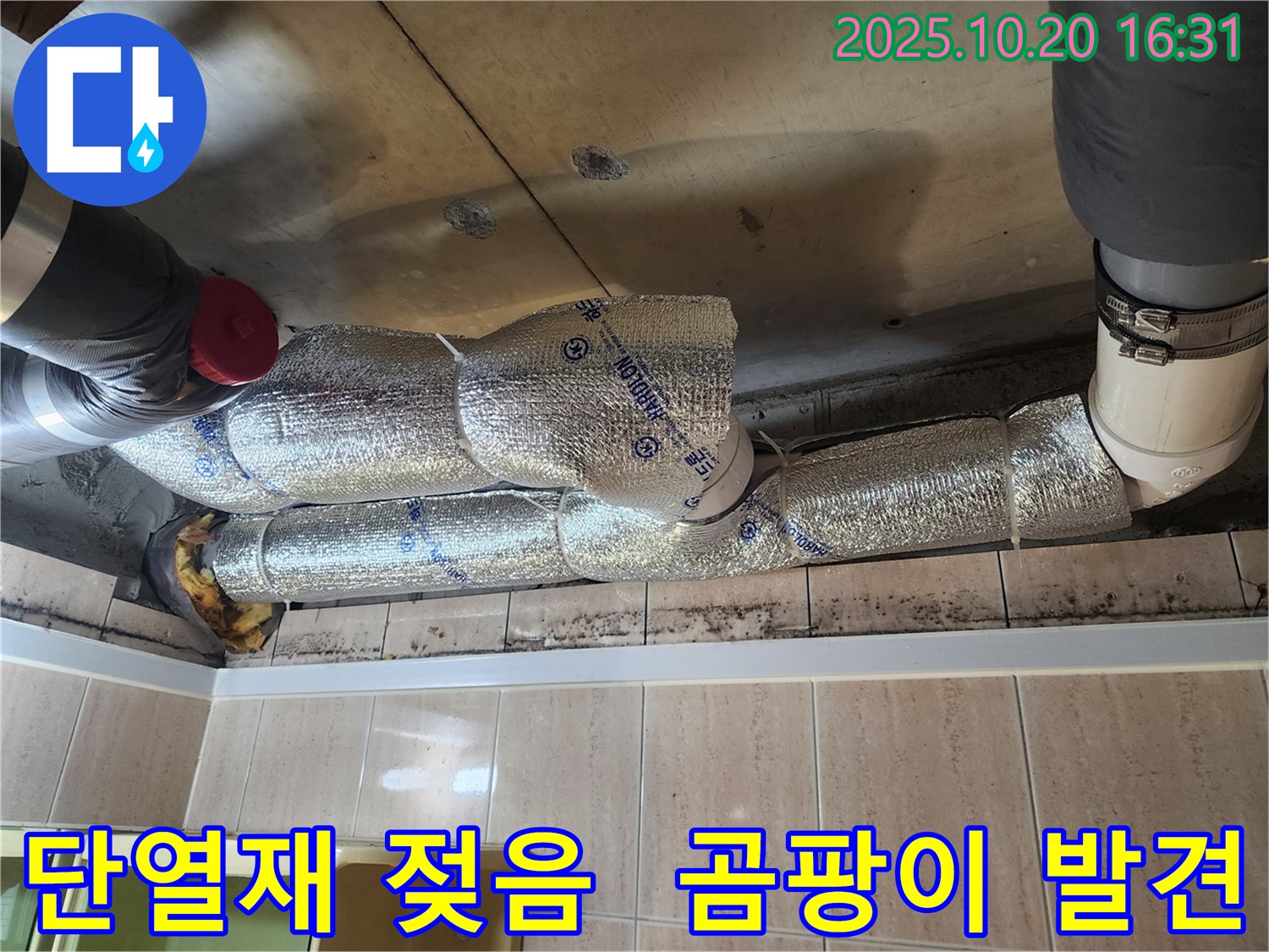 능곡동 아파트 천장 누수 현장 - 젖은 단열재와 곰팡이가 누수의 심각성을 보여줍니다.