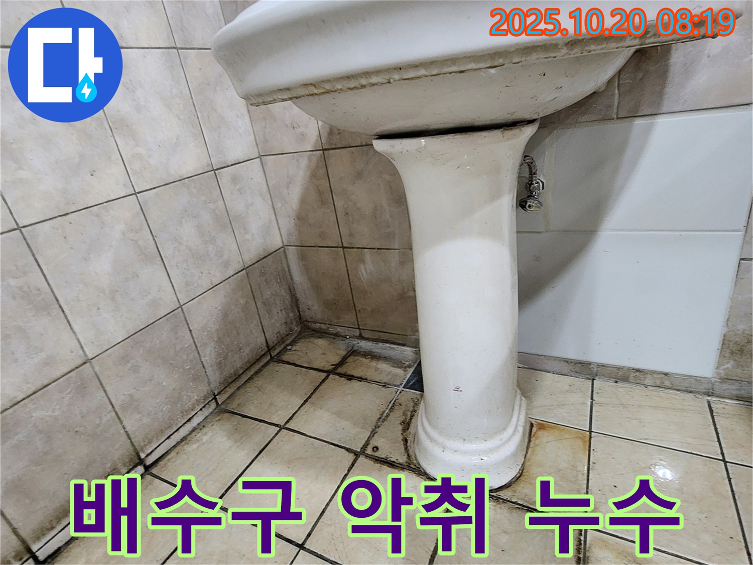 양주시 장흥면 석현리 세면대 배수구 - 세면대 배수구에서 악취와 누수가 동시에 발생하는 문제를 해결하는 과정을 보여줍니다.