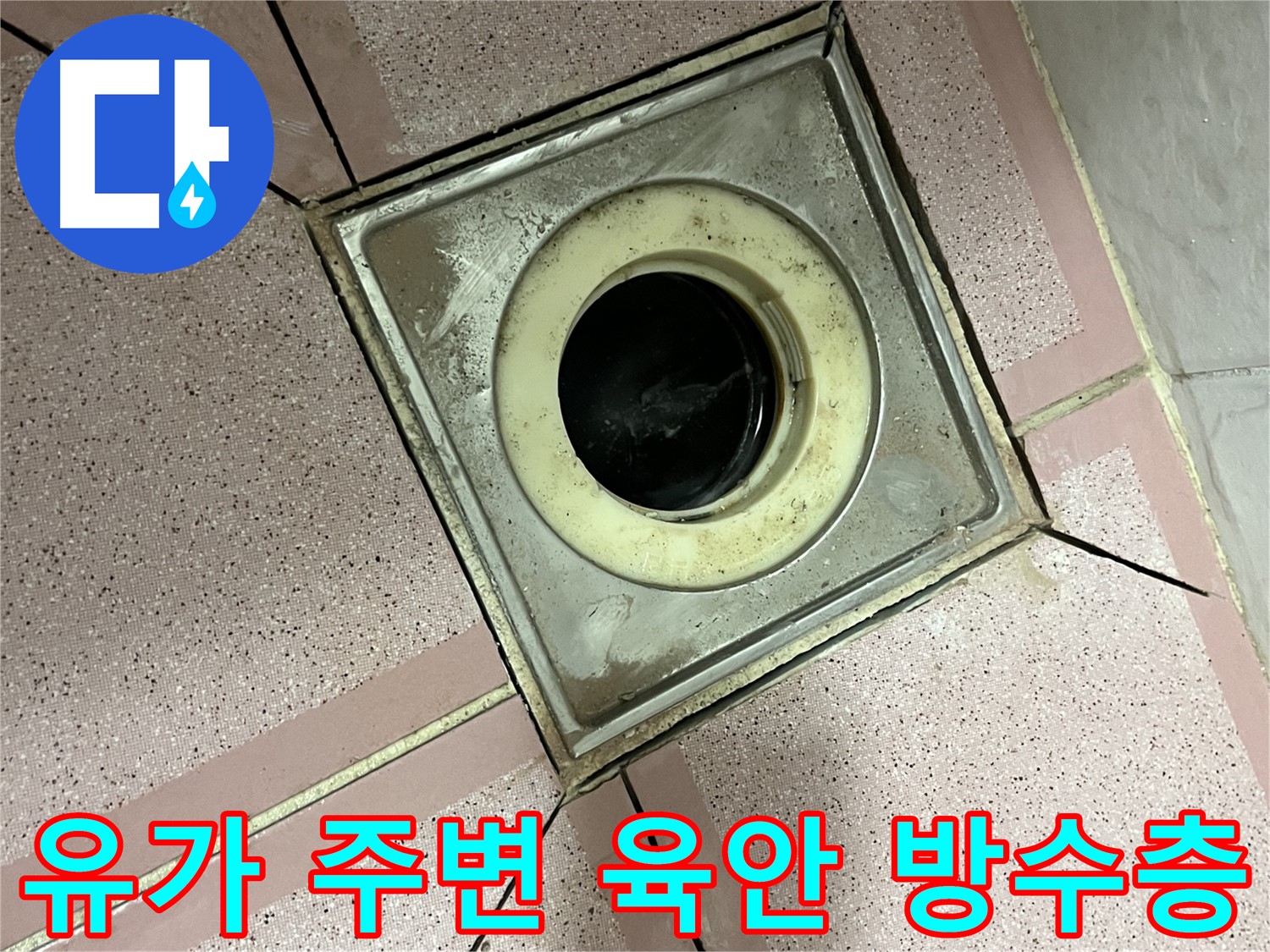 금천구 독산동 형제빌 유가 주변 육안 및 방수층 점검 - 종합 누수 진단