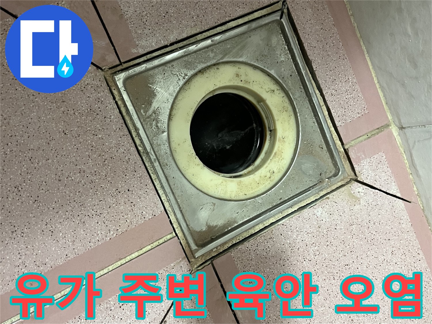 금천구 독산동 형제빌 유가 주변 육안 및 오염 점검 - 종합 누수 진단