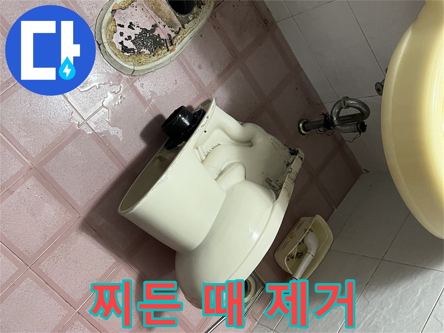 금천구 형제빌 - 찌든 때와 곰팡이 완벽 제거 작전 개시!