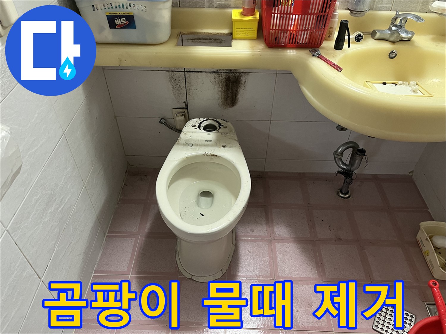 독산동 형제맨션빌 변기 누수 - 곰팡이와 물때 완벽 제거 약속