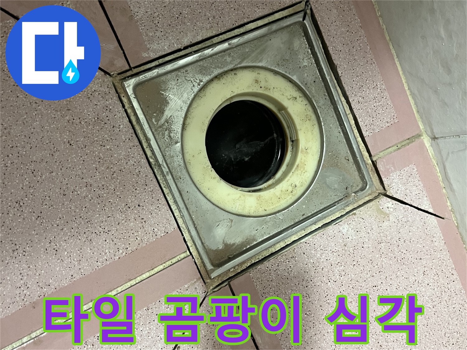 독산동 형제빌 화장실 유가 주변 타일 틈새 곰팡이 심각 - 누수 징후