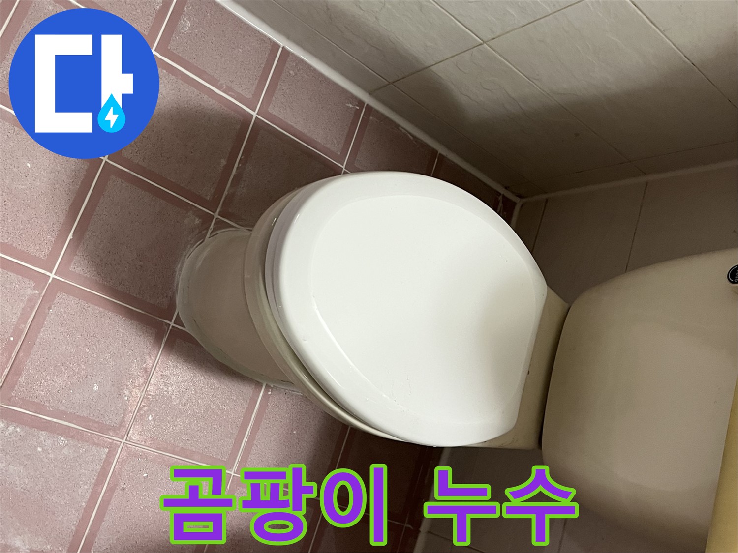 변기 누수 - 곰팡이와 함께 누수 발생 - 금천구 독산동 형제맨션빌