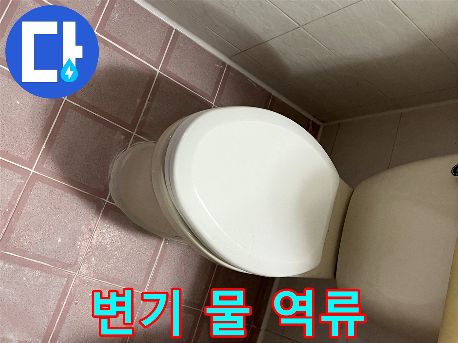 변기 누수 - 변기 물 역류 문제 해결 - 금천구 독산동 형제맨션빌