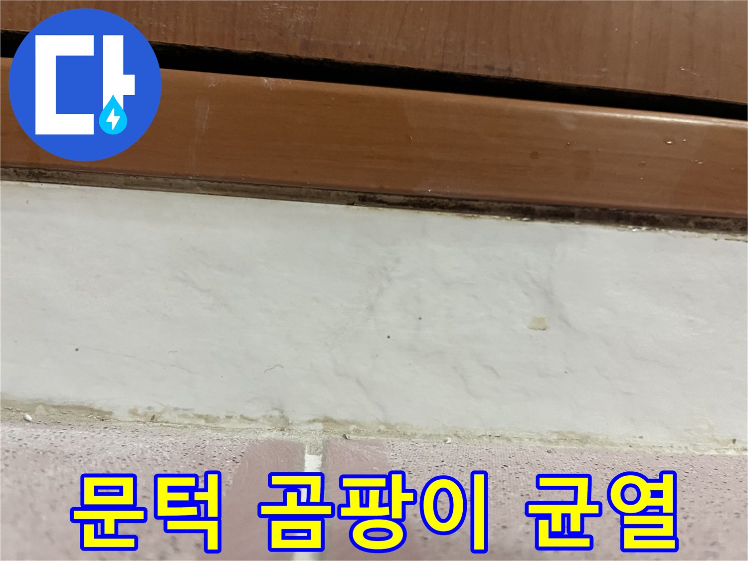 형제맨션빌 누수 - 문턱 아래 타일 틈새 곰팡이와 균열