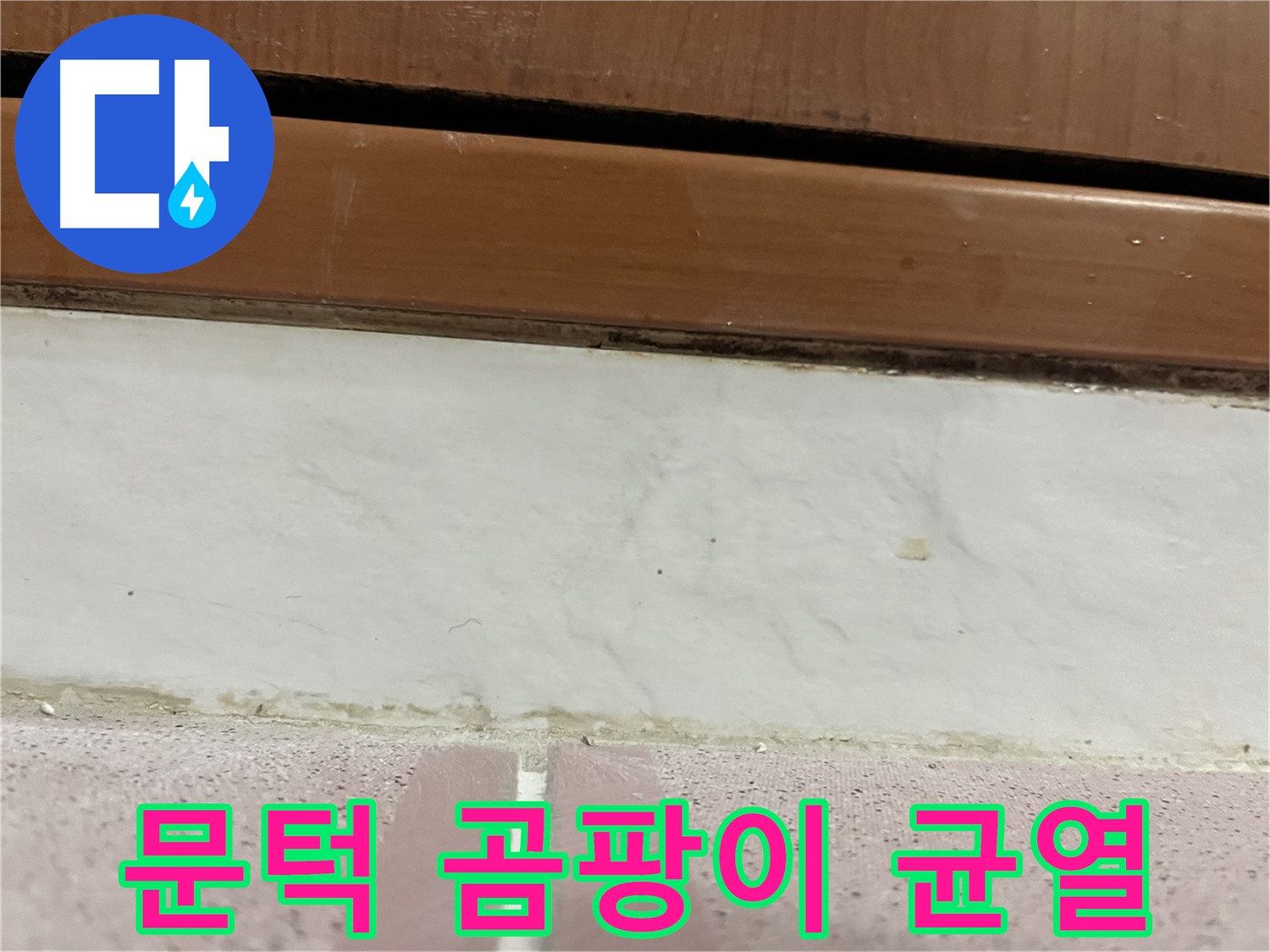 형제맨션빌 누수 - 문턱 아래 타일 틈새 곰팡이와 백시멘트 균열