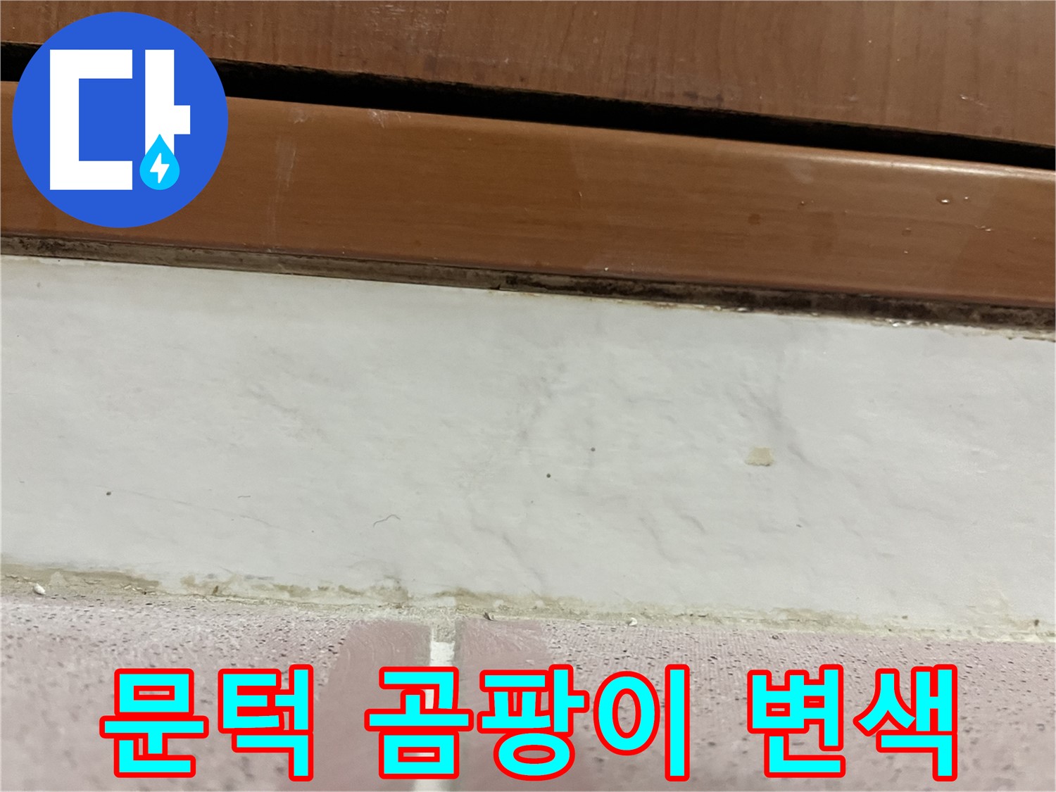 형제맨션빌 누수 - 문턱 아래 타일 틈새 곰팡이와 백시멘트 변색