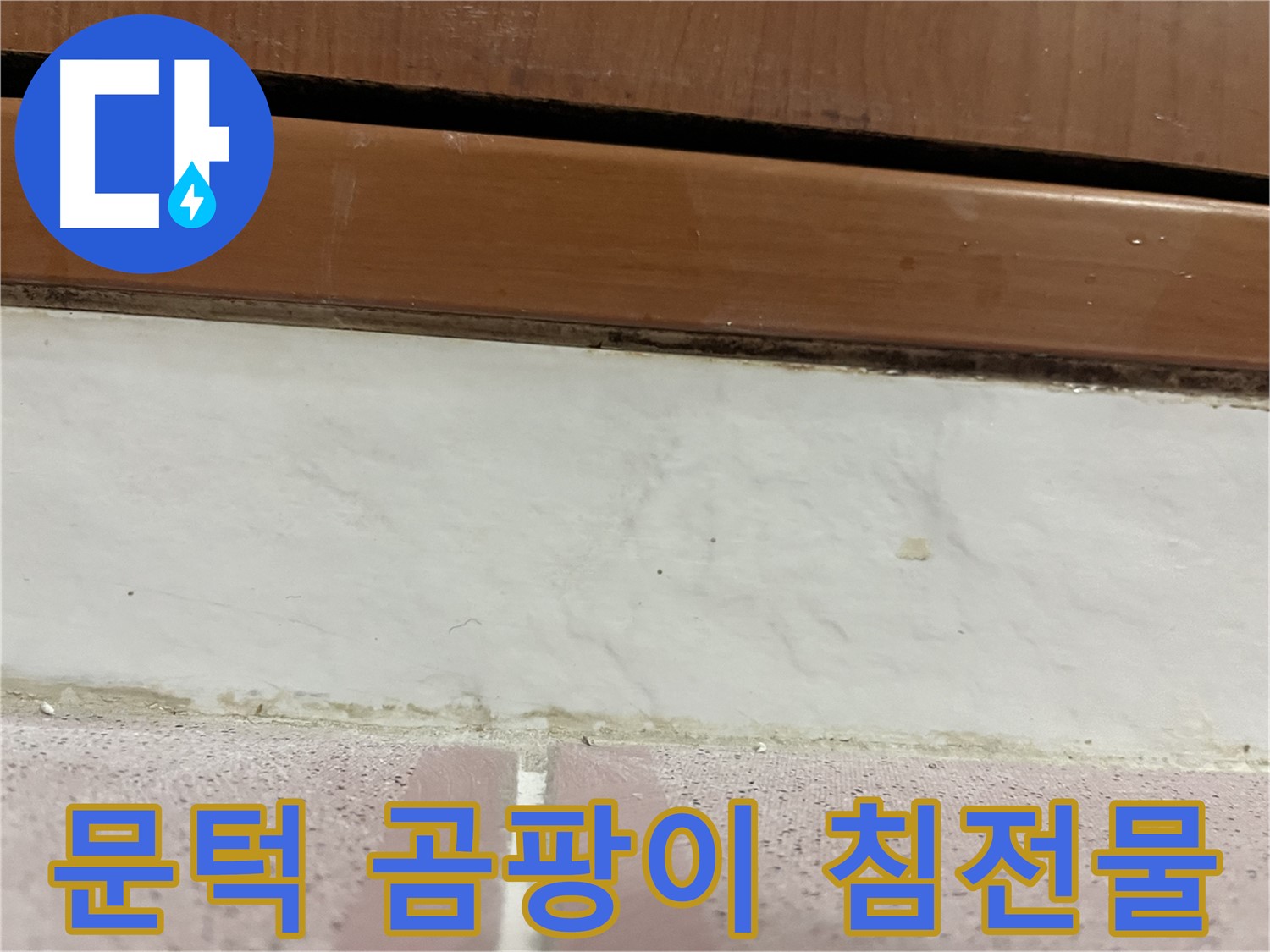 형제맨션빌 누수 - 문턱 아래 타일 틈새 곰팡이와 백시멘트 침전물