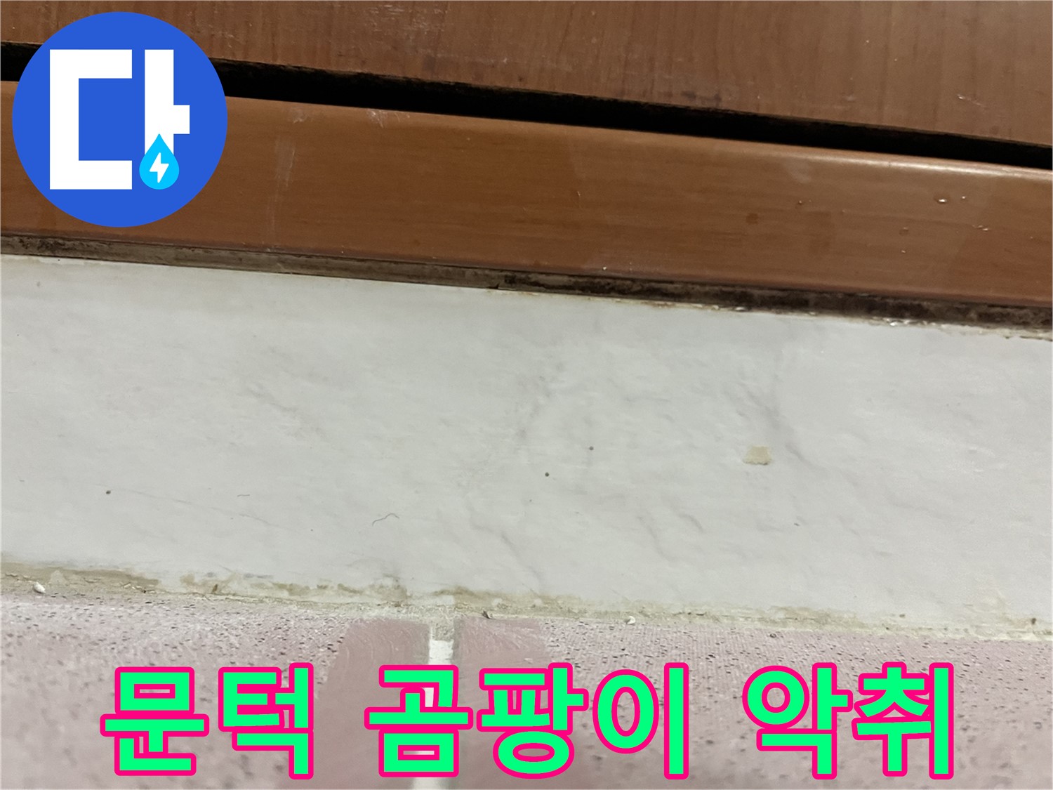 형제맨션빌 누수 - 문턱 아래 타일 틈새 곰팡이와 악취