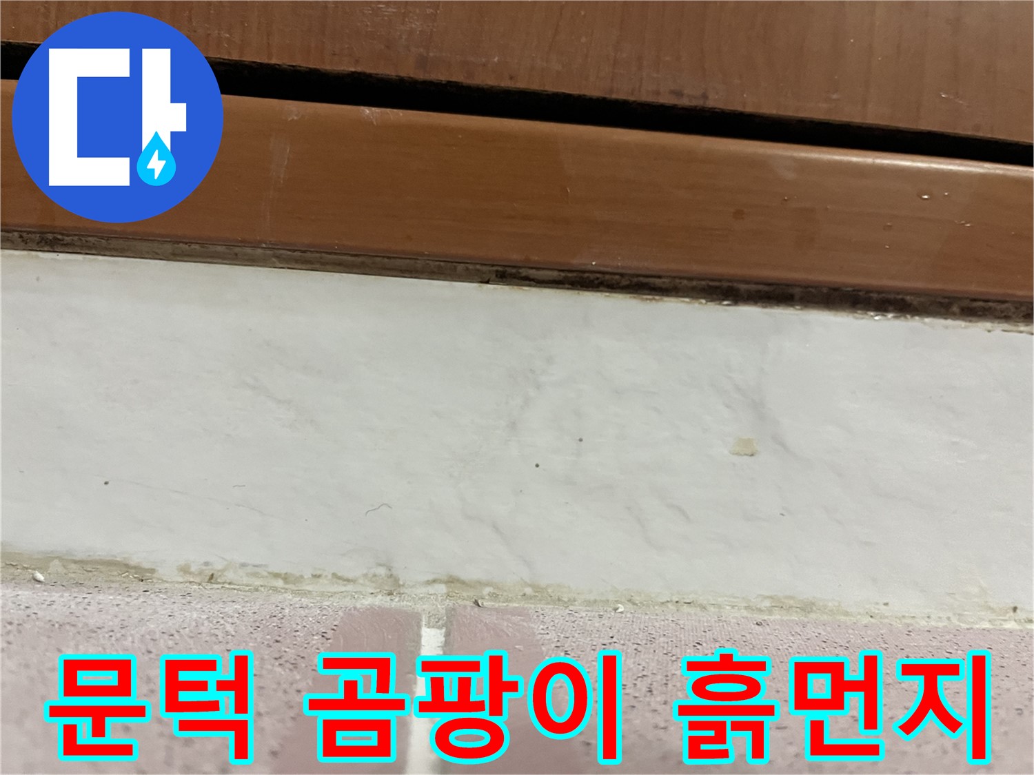형제맨션빌 누수 - 문턱 아래 타일 틈새 곰팡이와 흙먼지