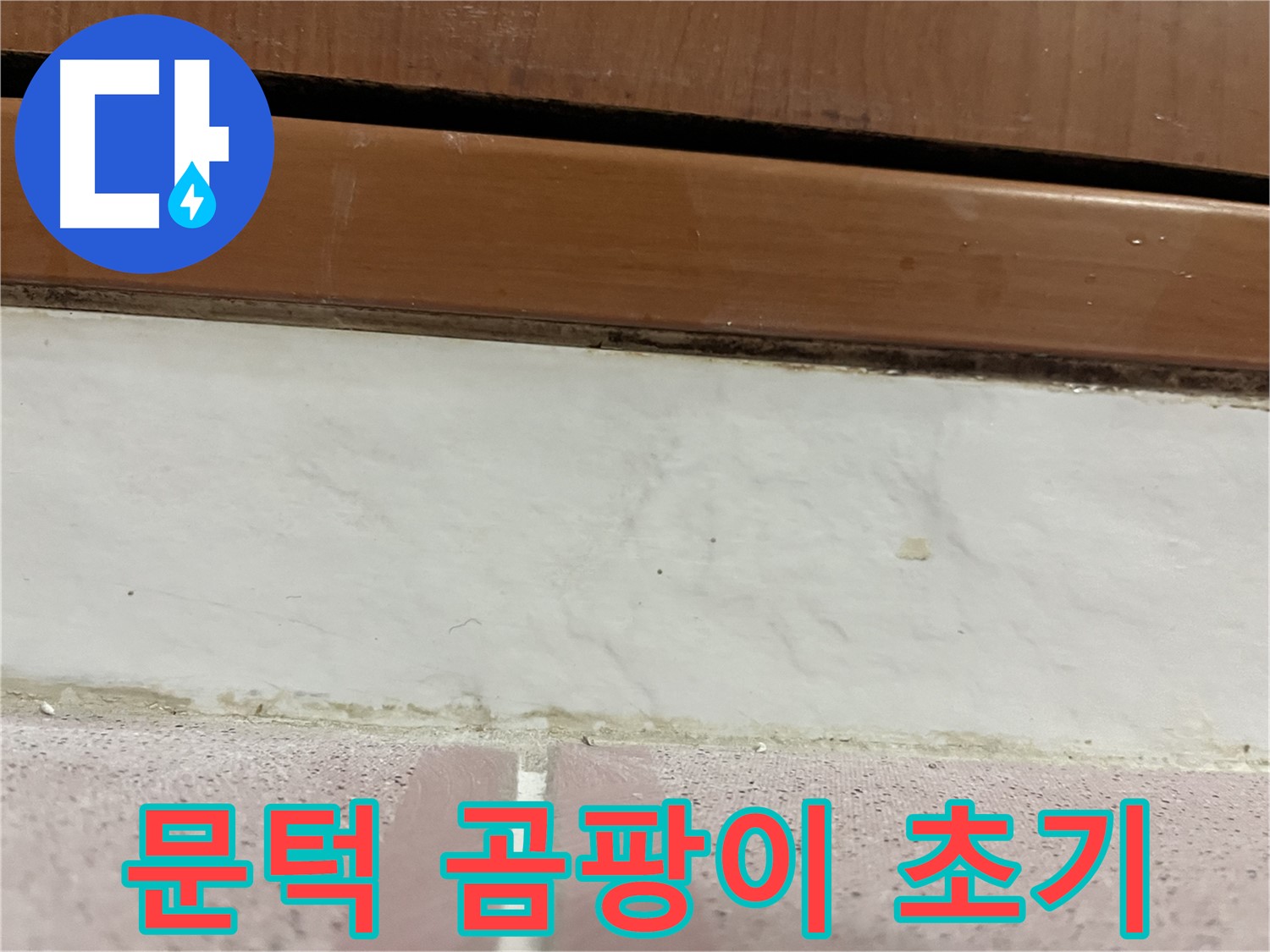 형제맨션빌 누수 - 문턱 주변 타일 틈새 곰팡이와 습기 초기 단계