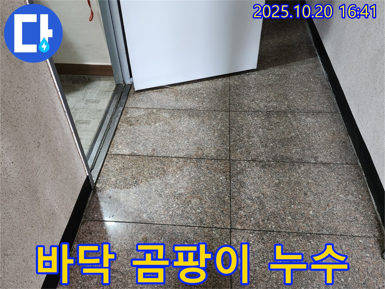 바닥에 곰팡이가 핀 사진 - 양주시 장흥면 부곡리 누수 현장입니다.