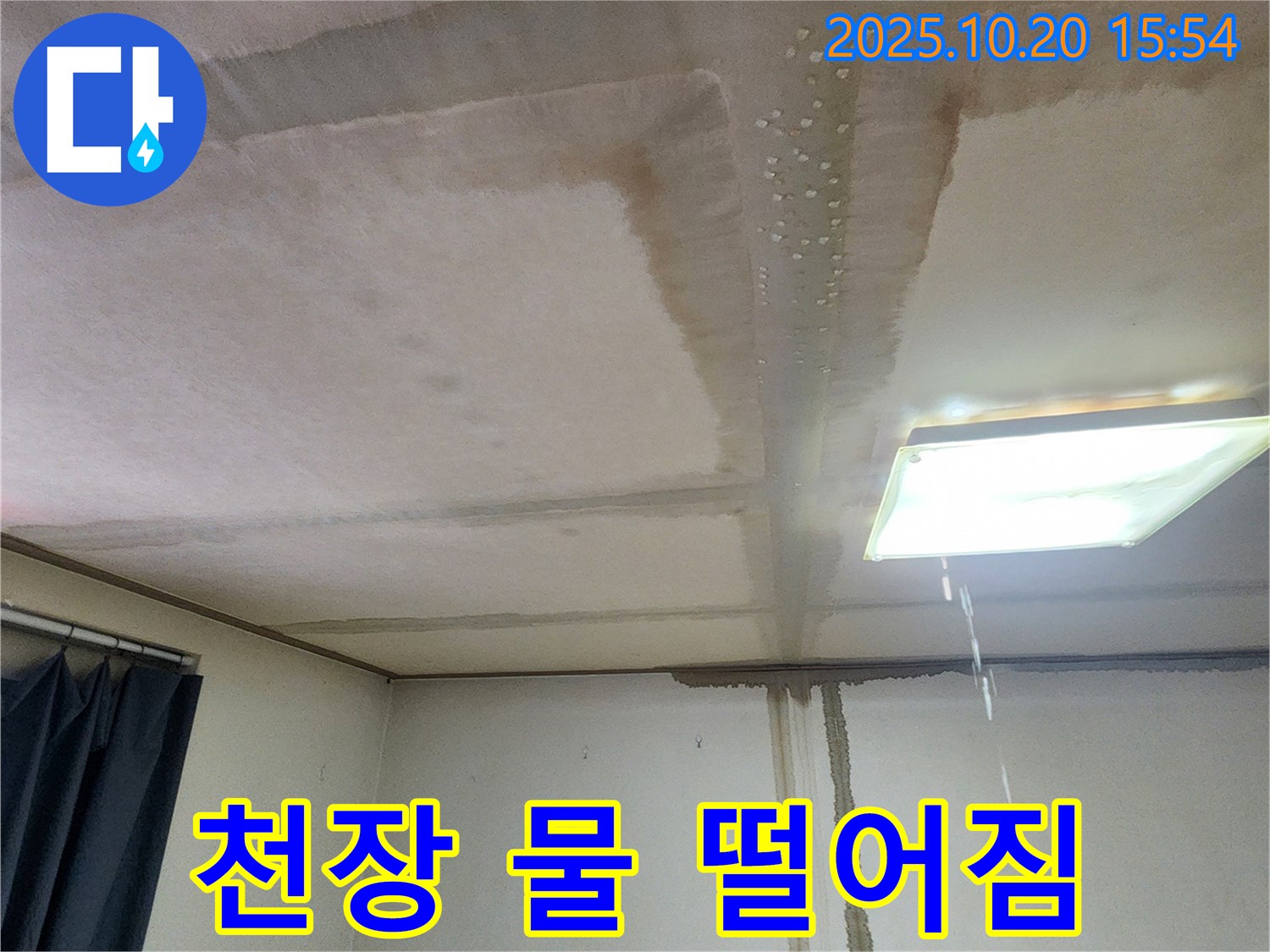 양주시 장흥면 부곡리 천장 물 떨어짐 - 긴급 누수 상황 발생