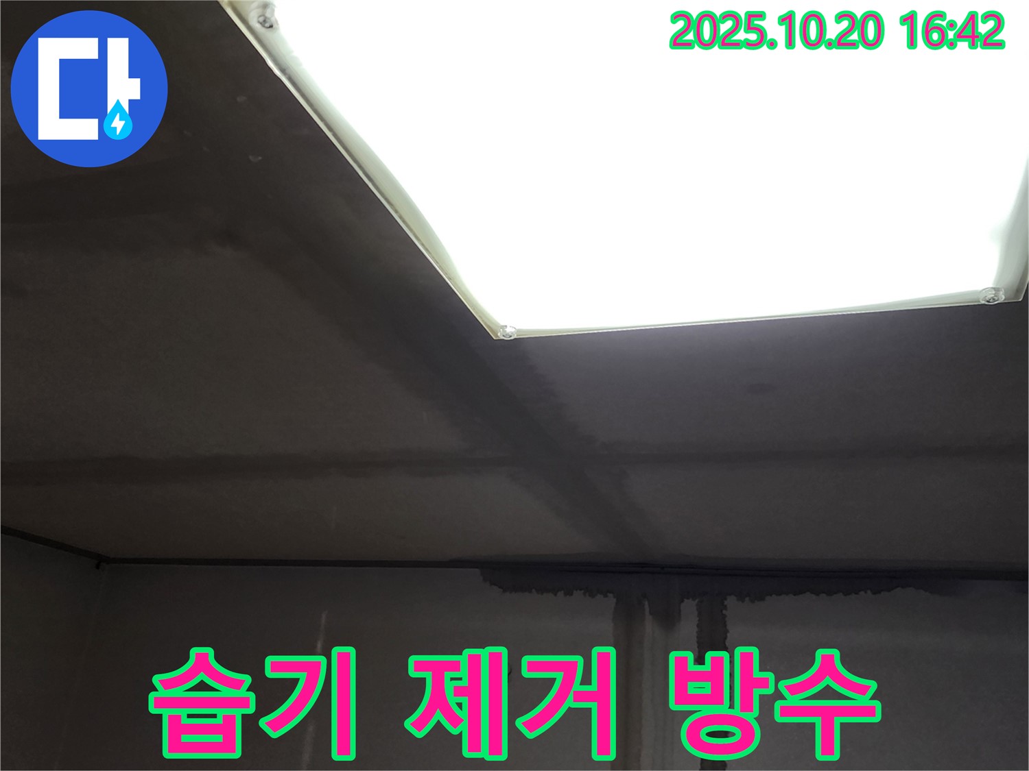 장흥면 부곡리 건물 - 천장 누수, 습기 제거와 완벽한 방수로 해결