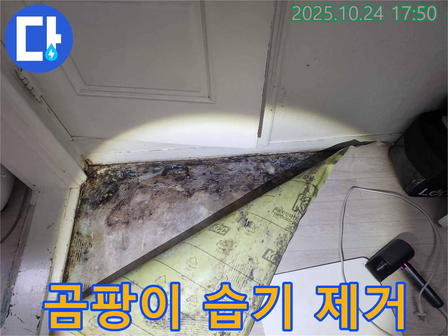 양재동 현대빌라 누수 - 곰팡이와 습기를 완벽하게 제거하여 쾌적한 공간으로 변신