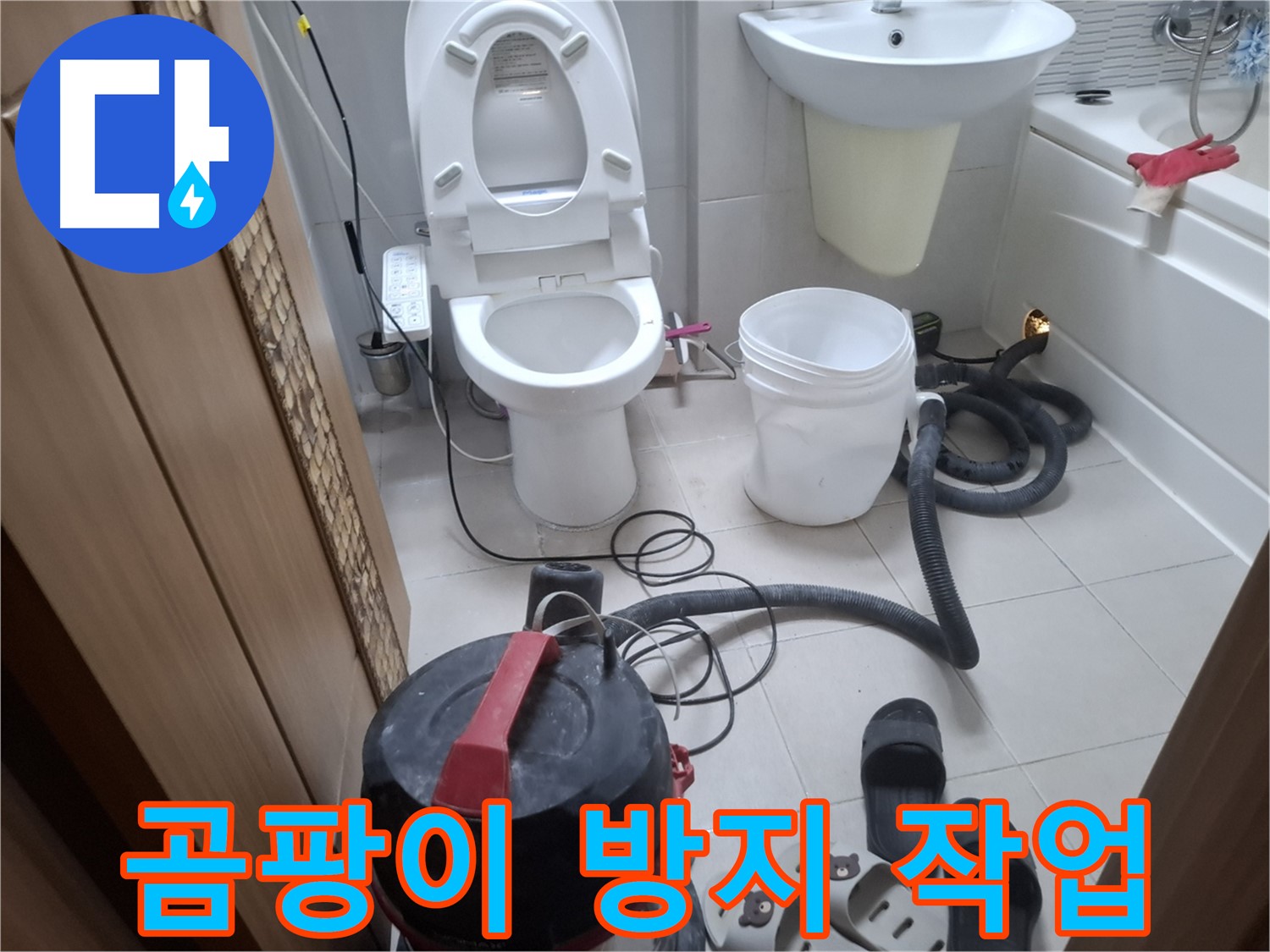 곰팡이 방지 작업 - 습식 청소 후, 곰팡이 방지 작업은 필수입니다.