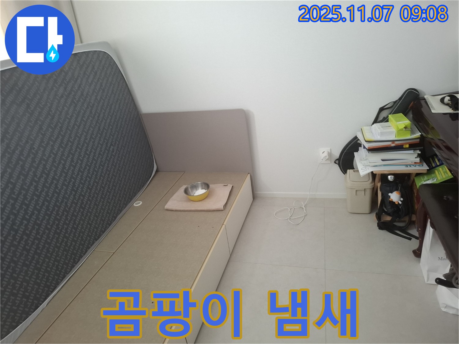 수원 신풍동 누수 - 침대 밑 곰팡이 냄새 발생, 누수 긴급 진단 및 건강 위협 여부 확인 및 제거