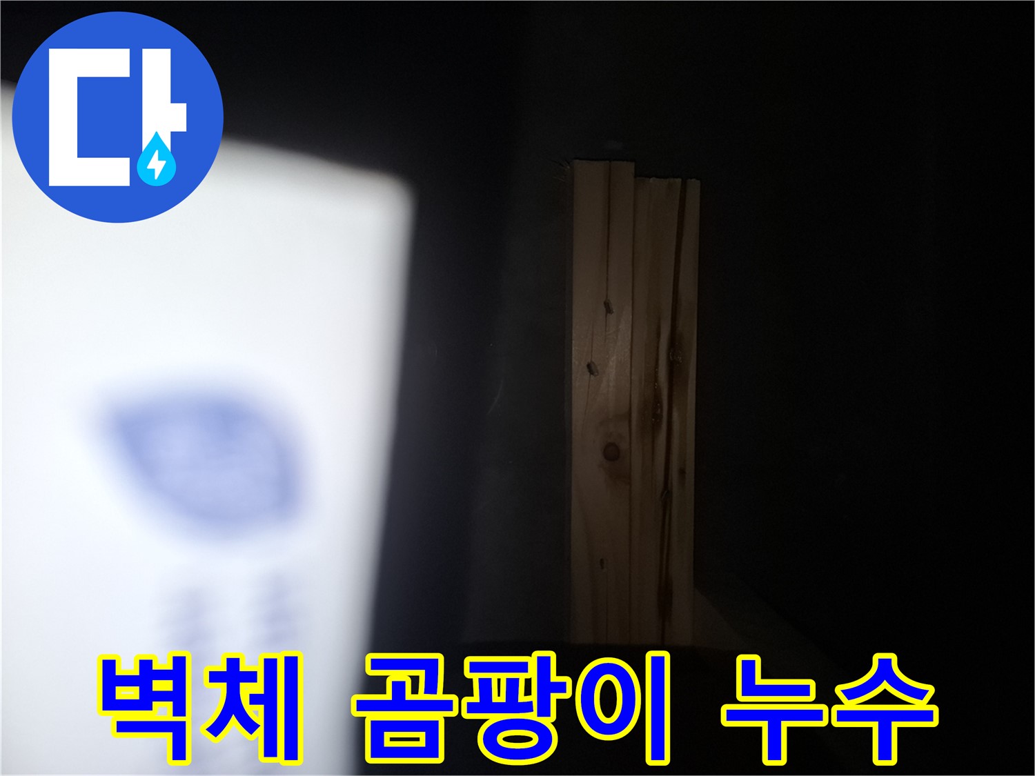 수원 팔달구 신풍동 누수 현장 - 벽체에 곰팡이가 발생한 모습입니다 - 누수로 인한 습기가 원인입니다.