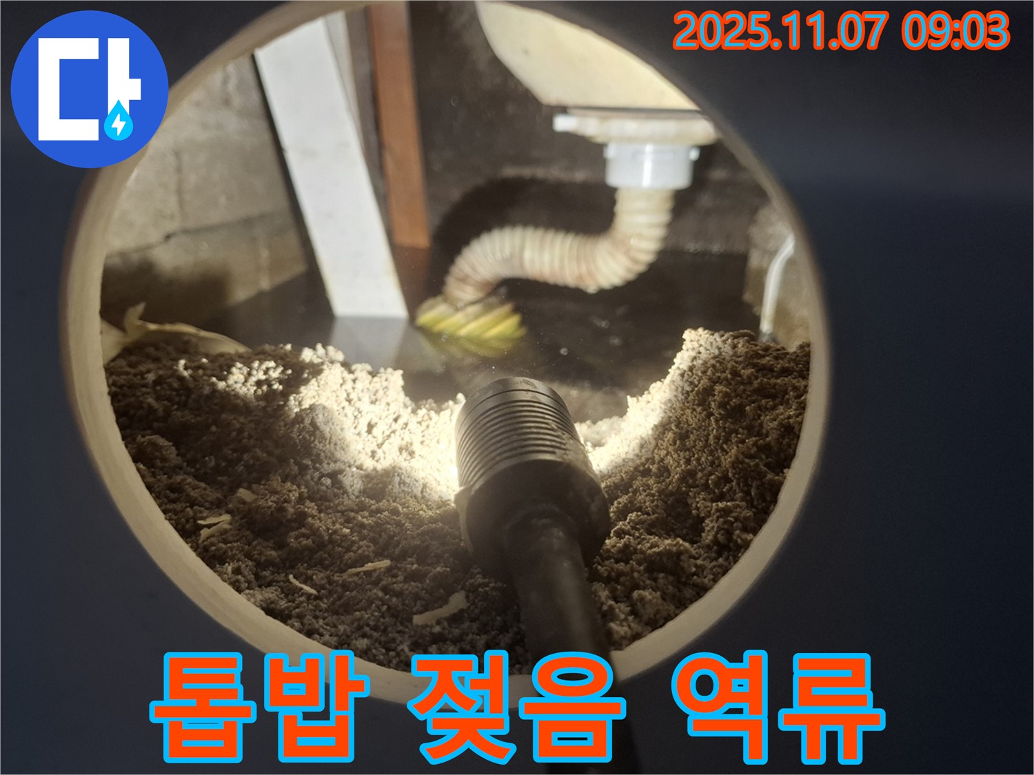 신풍동 주택 싱크대 하부 톱밥 젖음 - 배수구 막힘으로 인한 역류 의심
