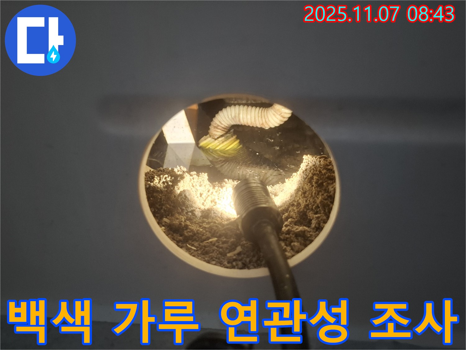 신풍동 천장 누수 - 백색 가루와 누수의 연관성을 면밀히 조사하고 있습니다.