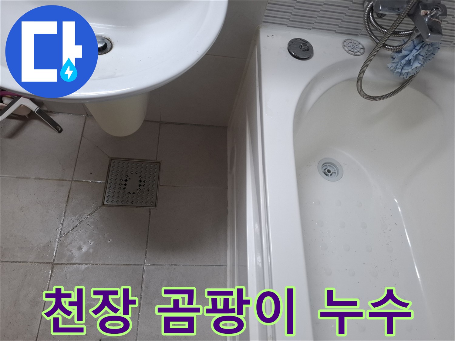욕실 천장에 곰팡이가 핀 모습 - 윗집 누수 의심