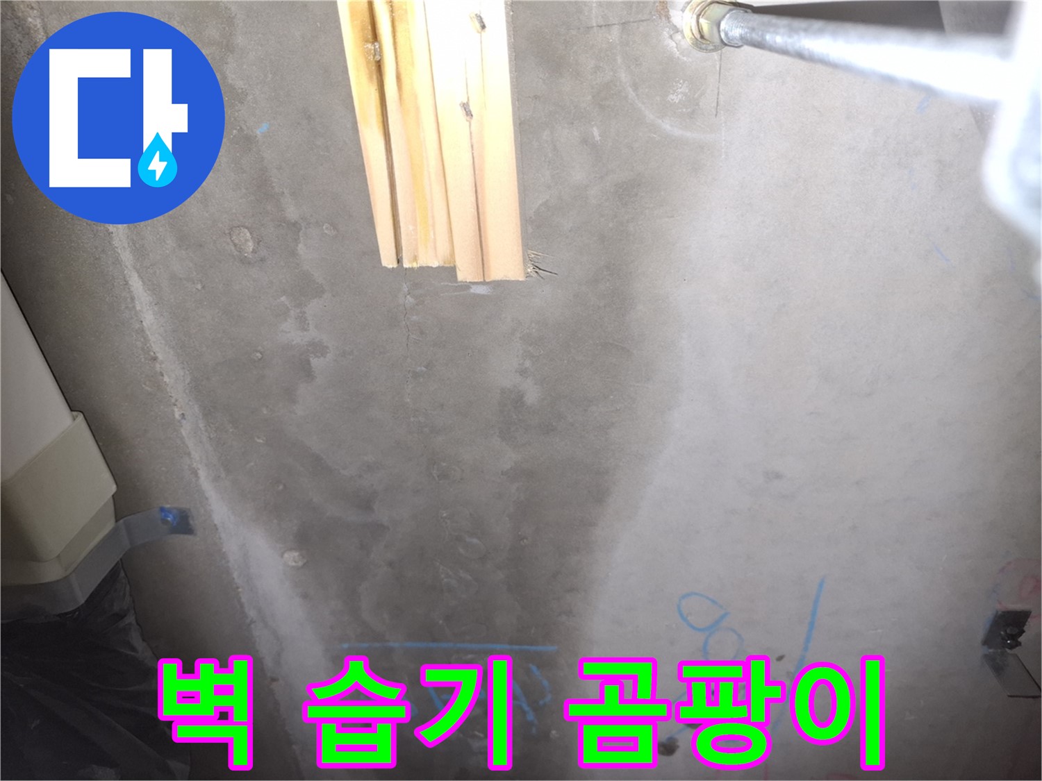 콘크리트 벽 누수 - 습기와 곰팡이, 건강 위협