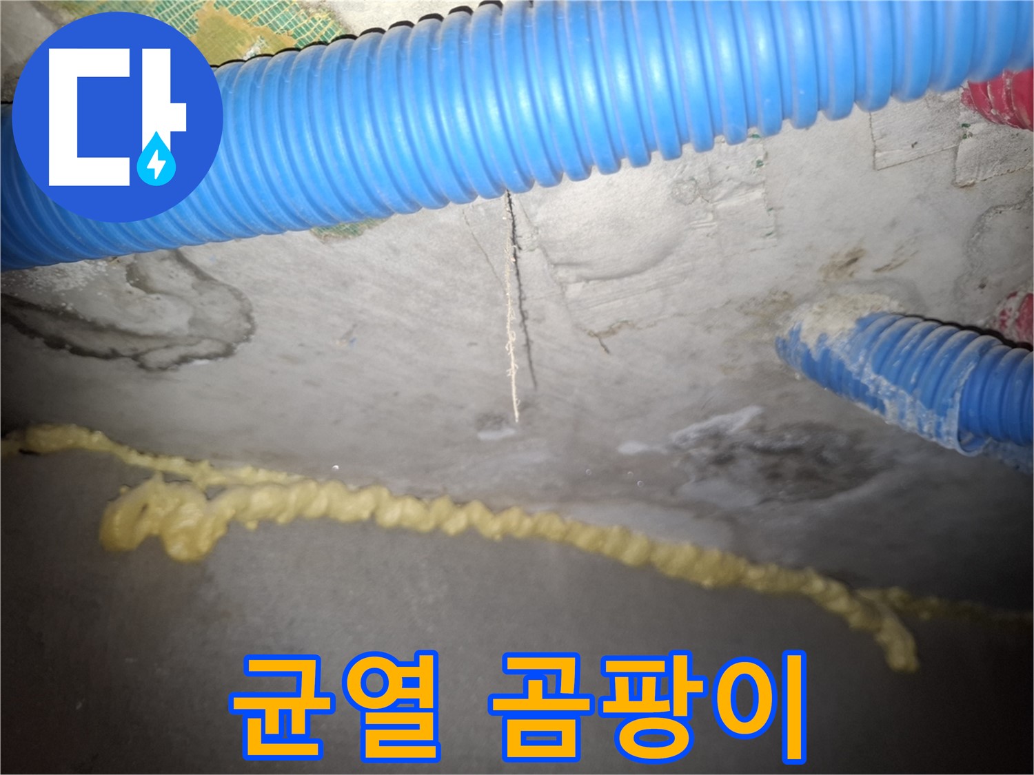 콘크리트 천장 균열 - 곰팡이 초기 발생 - 신풍동 누수