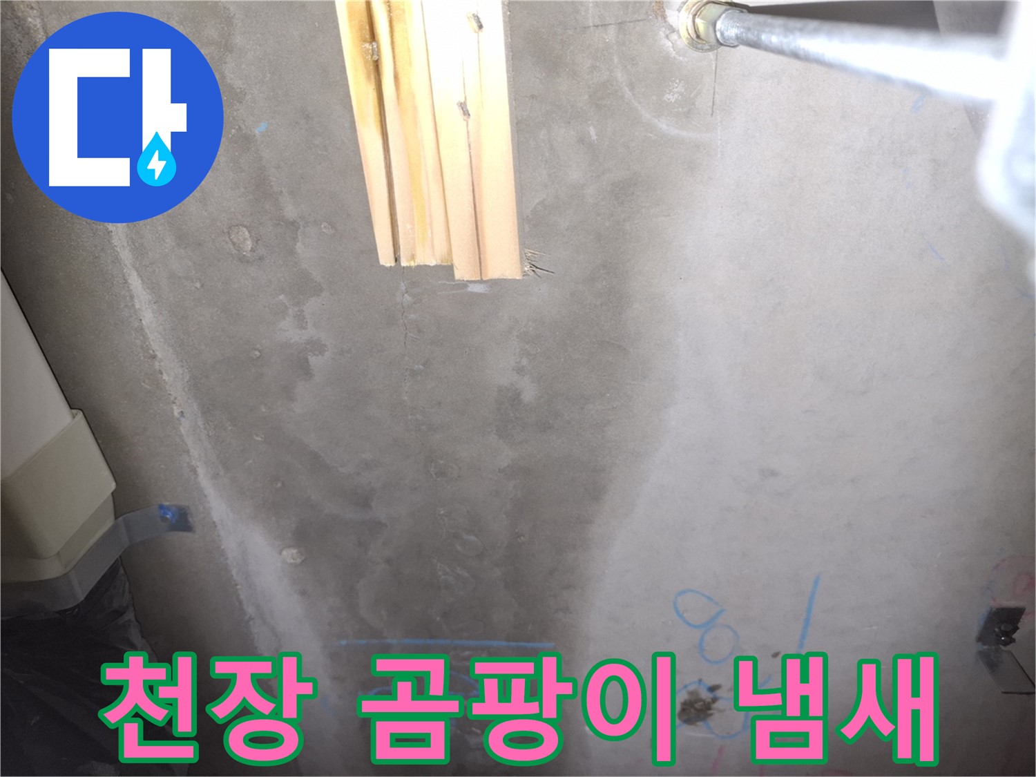 콘크리트 천장 누수 - 곰팡이 냄새 발생