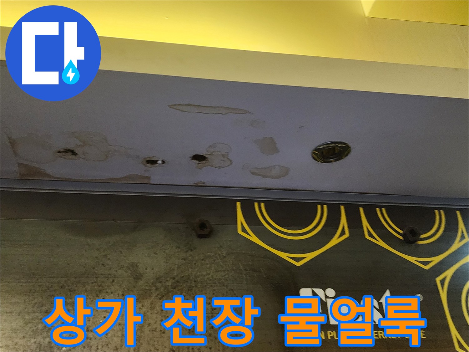 양주 도하리 매장-천장 마감재에 발생한 누수 흔적과 변색된 부위