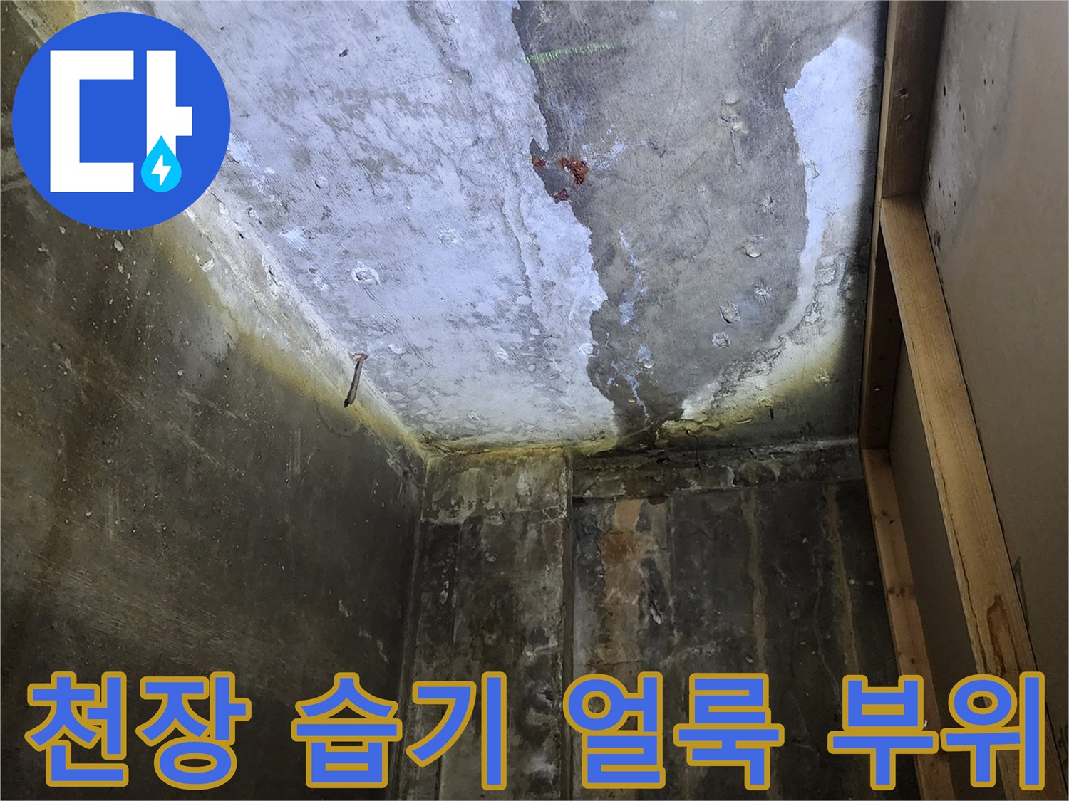 물기가 번져 나간 콘크리트 천장의 오염된 표면 모습