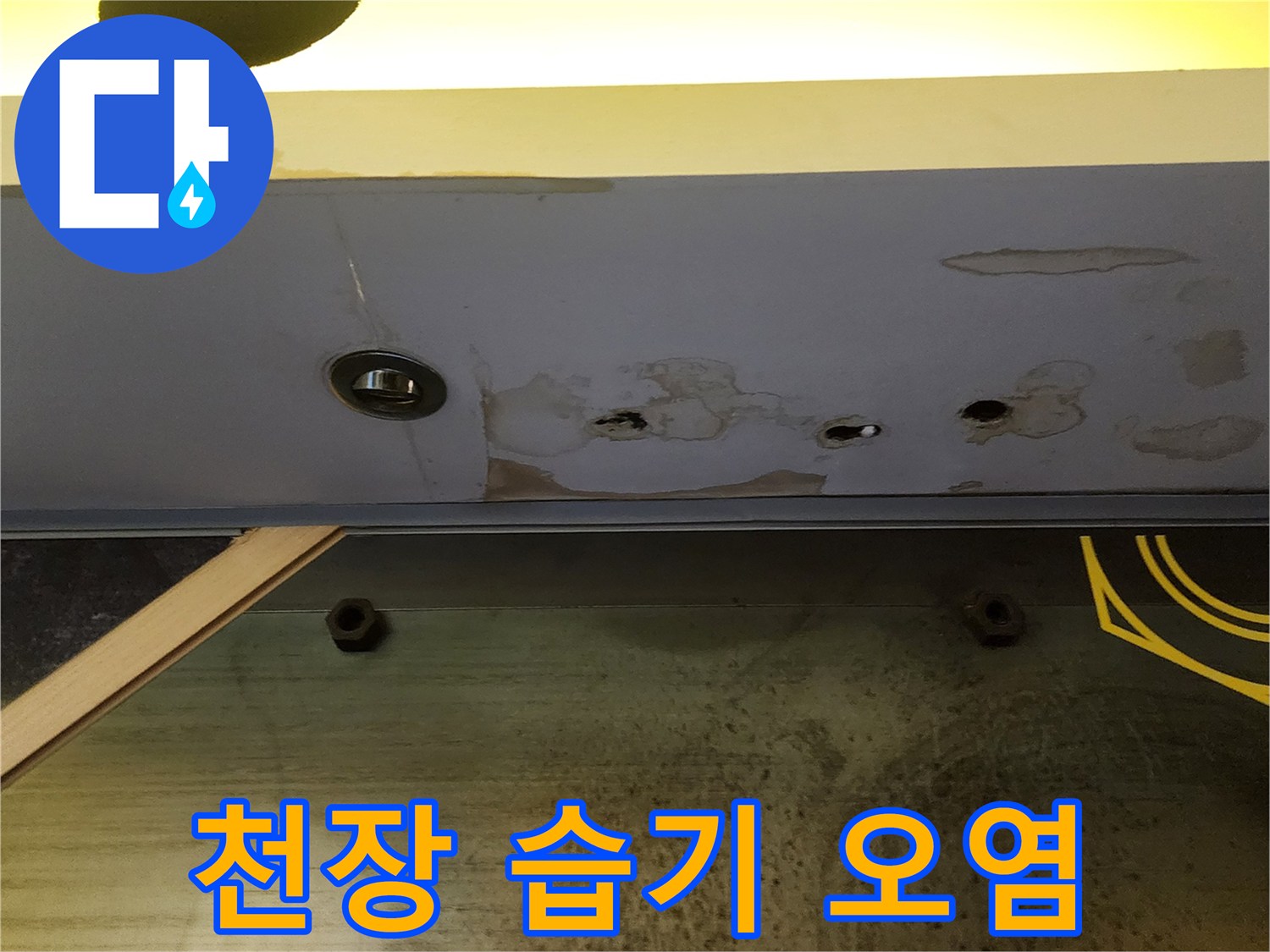 상가 내부 천장의 누수 흔적 및 콘크리트 습기 - 현장 진단 기록