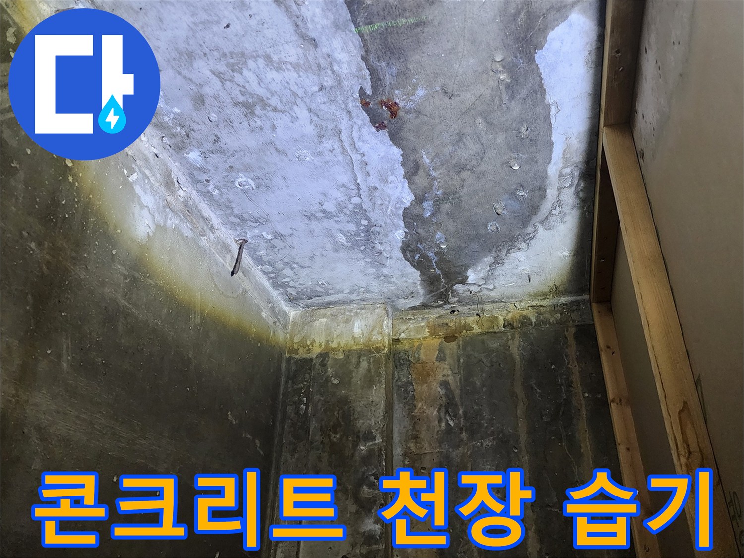 습기로 인해 변색된 콘크리트 천장 구조물 현장 사진