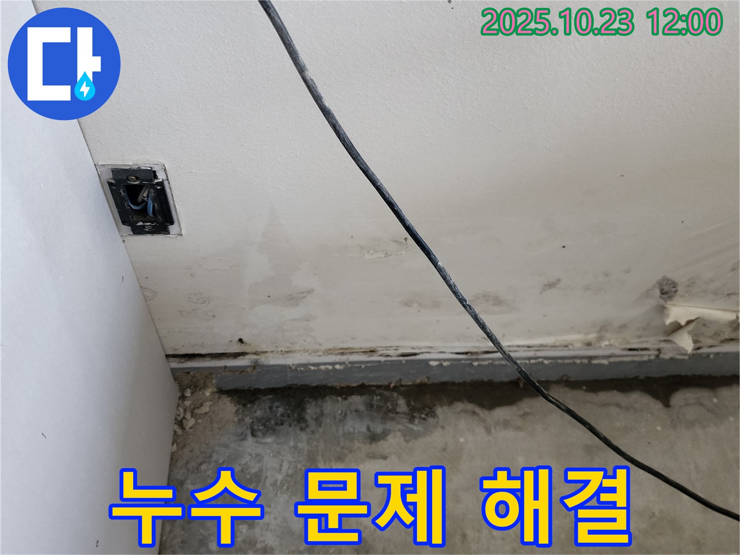 양주시 은현면 하패리 주택 누수 문제 - 해결 전문가