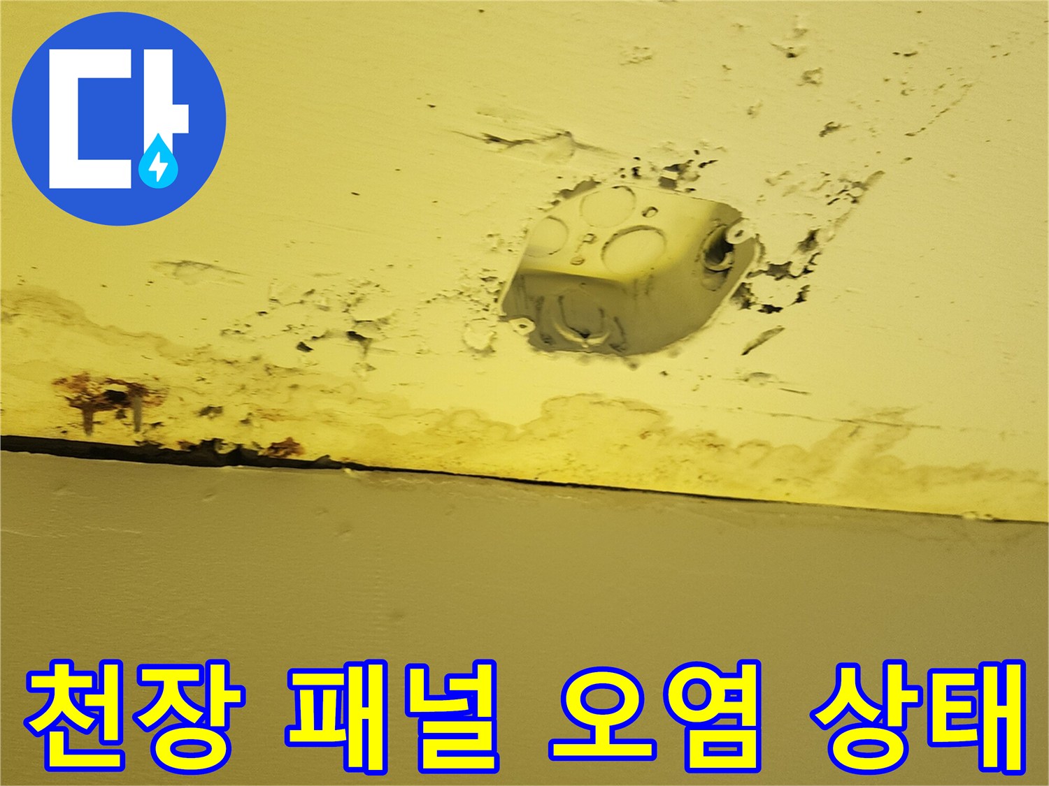 양주시 하패리 상가 건물 천장 마감재의 누수 흔적 및 오염 부위