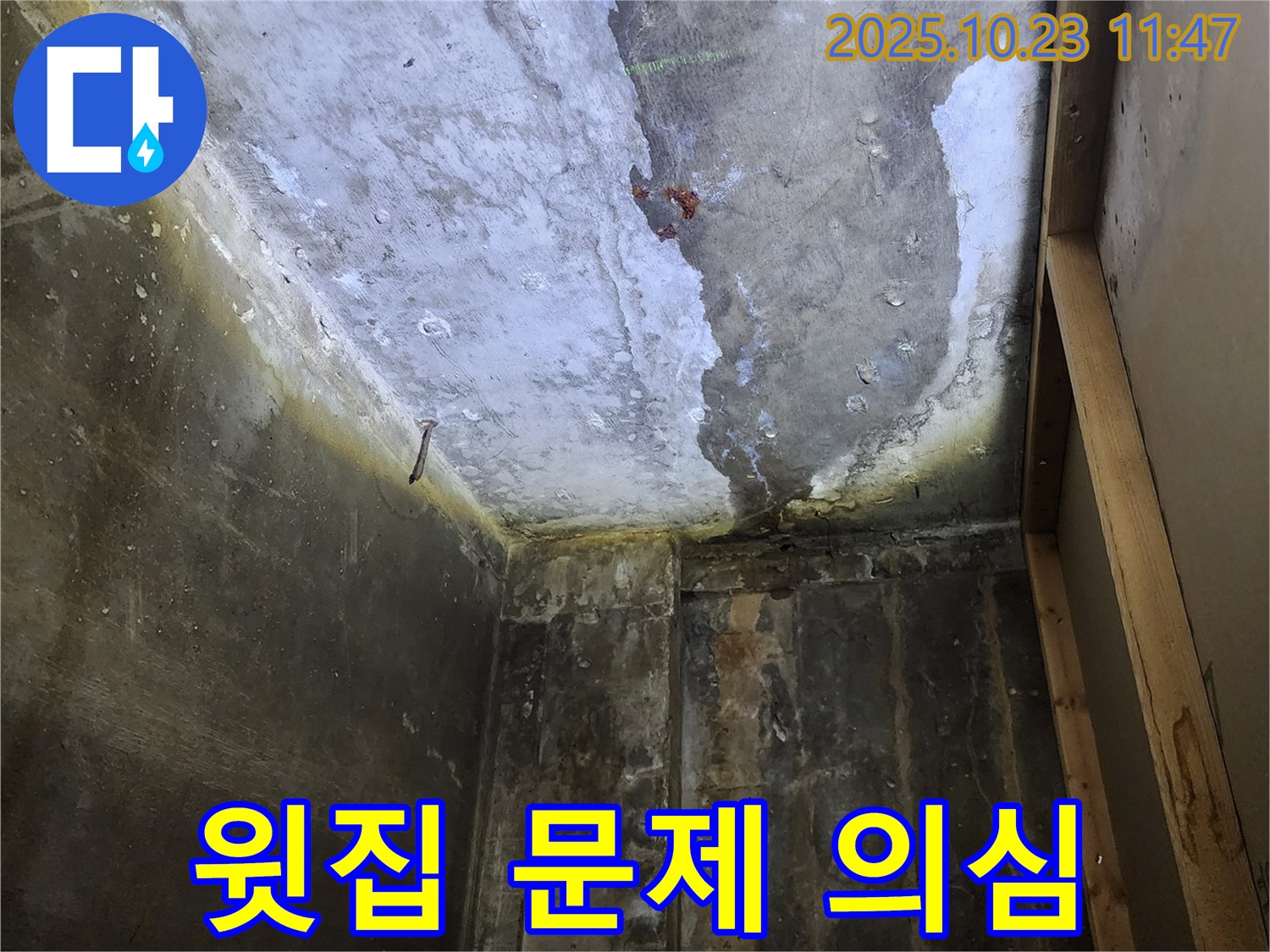 양주시 하패리 - 욕실 천장 누수, 윗집 문제 가능성 점검