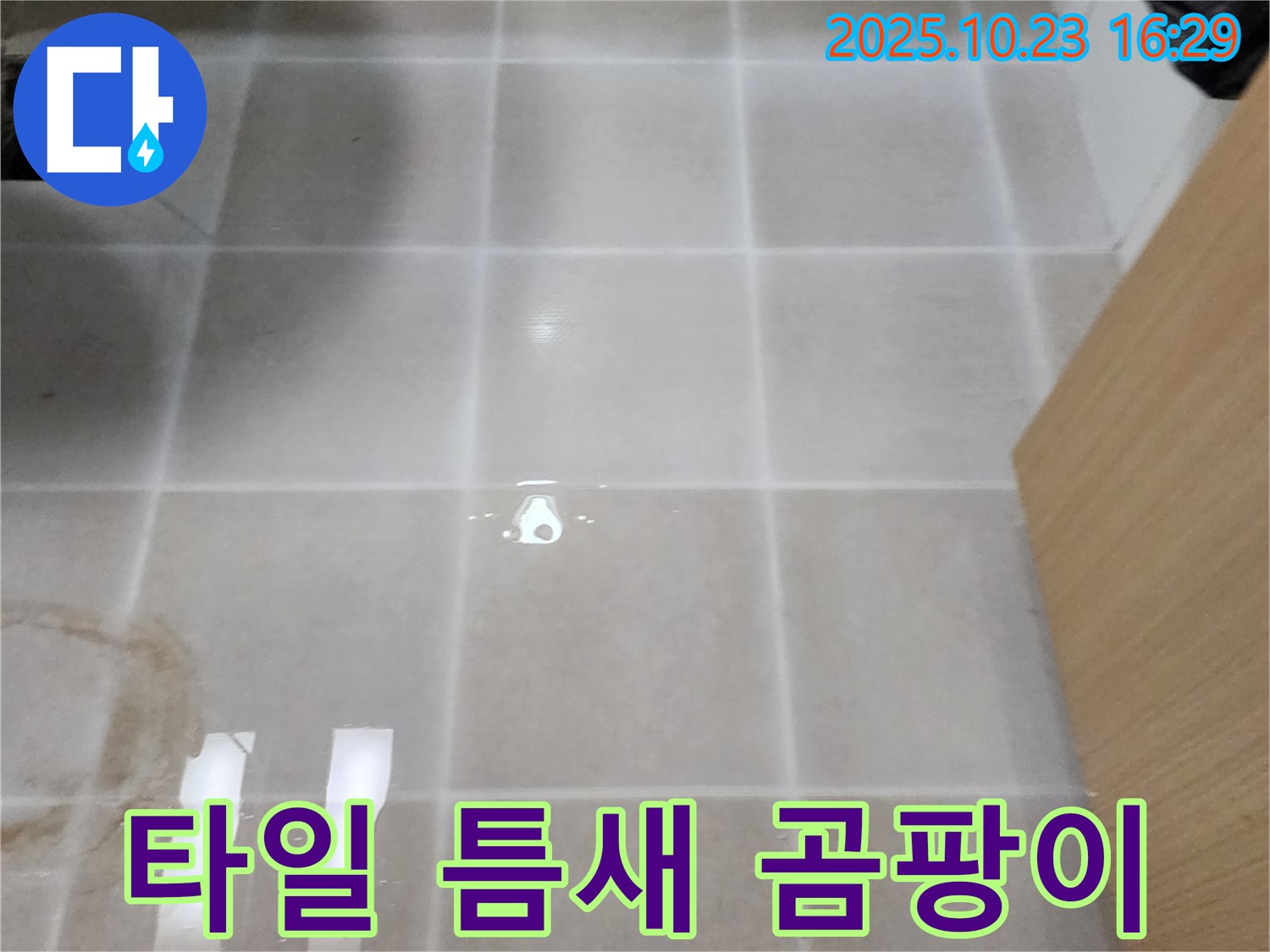 양주시 은현면 욕실 타일 틈새 곰팡이 - 알레르기 유발 가능성, 건강 위협