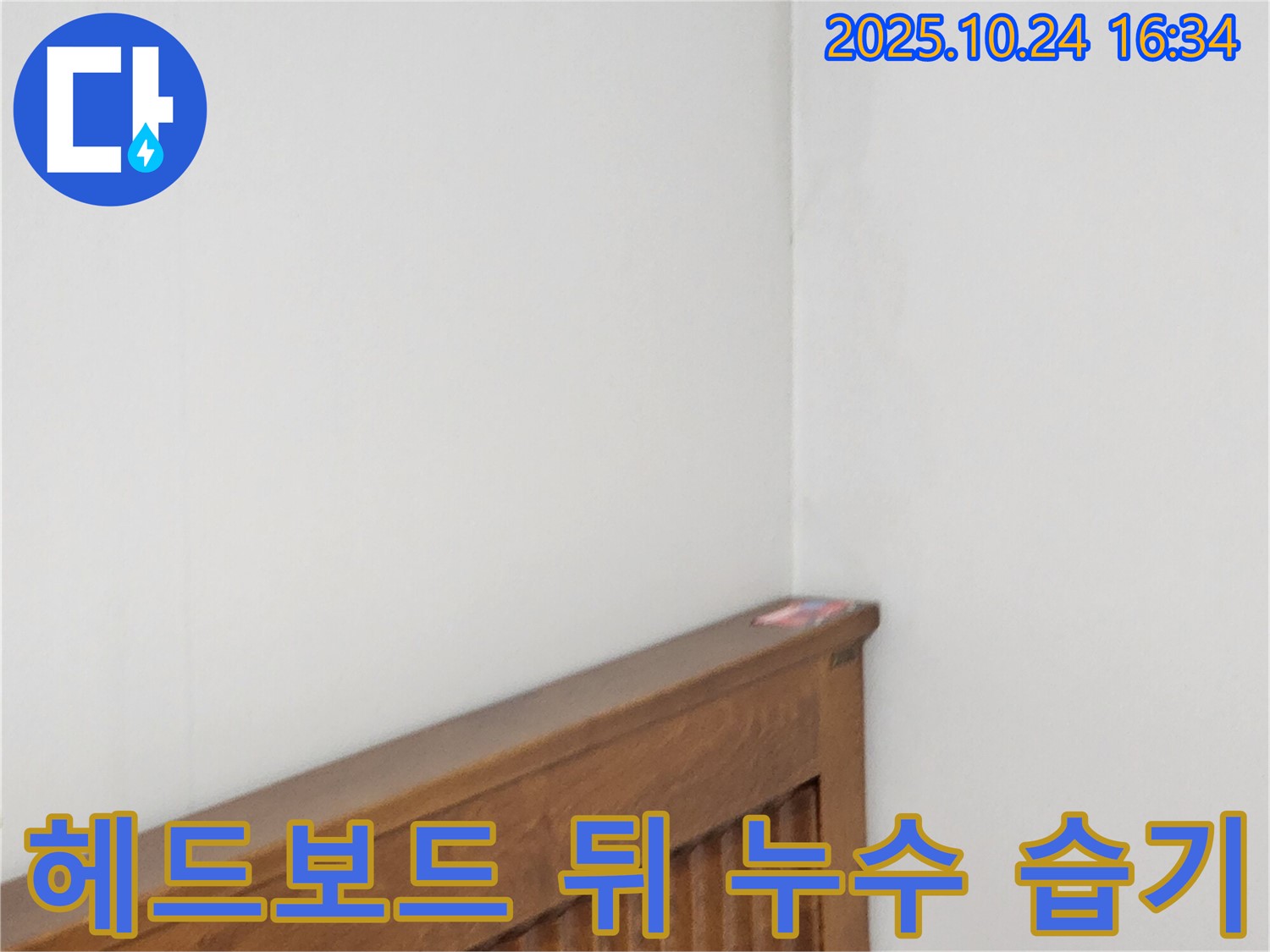 양주1동 봉우로 누수 현장 - 침대 헤드보드 뒤 벽 누수와 습기 문제를 해결하는 누수 전문가의 노하우