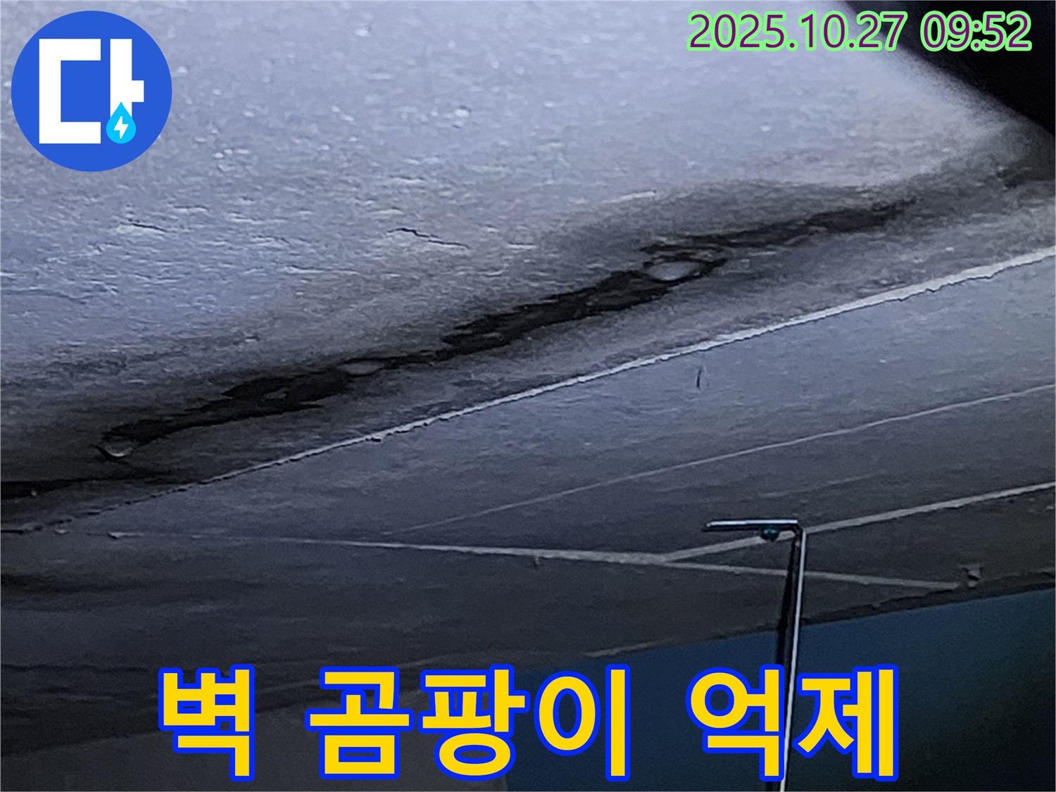 양주 옥정2동 2083 누수 - 벽에 곰팡이를 억제하여 건강한 생활을 유지하세요 - 전문가의 곰팡이 억제 솔루션을 만나보세요.