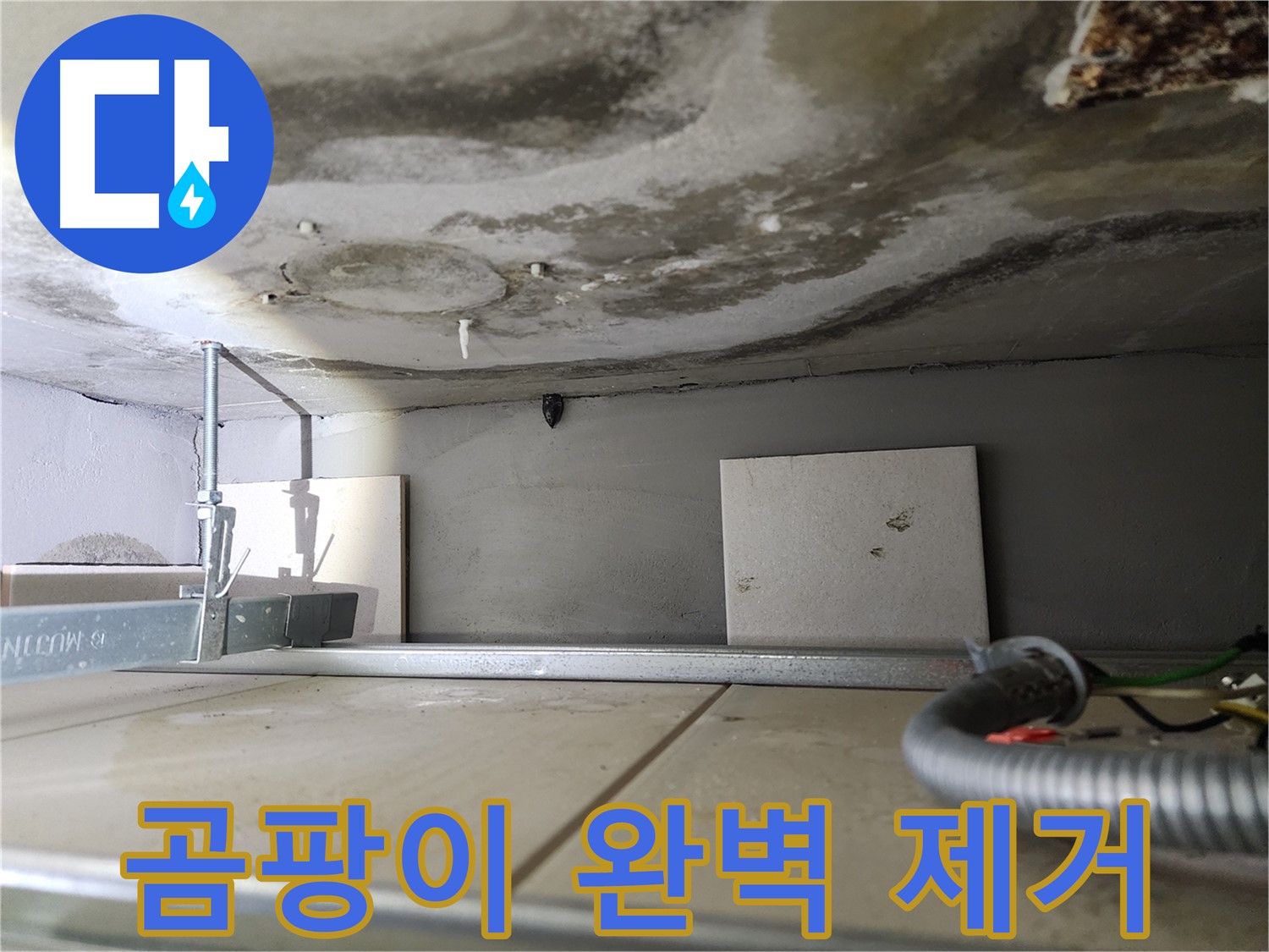 곰팡이 완벽 제거-안전한 생활 공간 조성