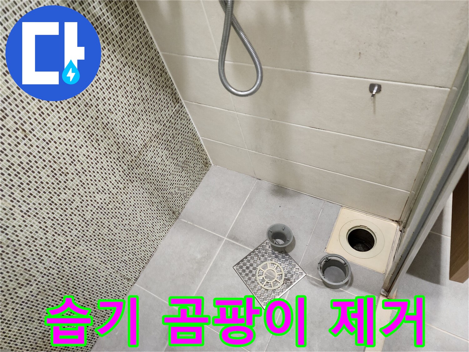 금호동 욕실 - 배수구 주변 습기 및 곰팡이 제거, 누수 점검