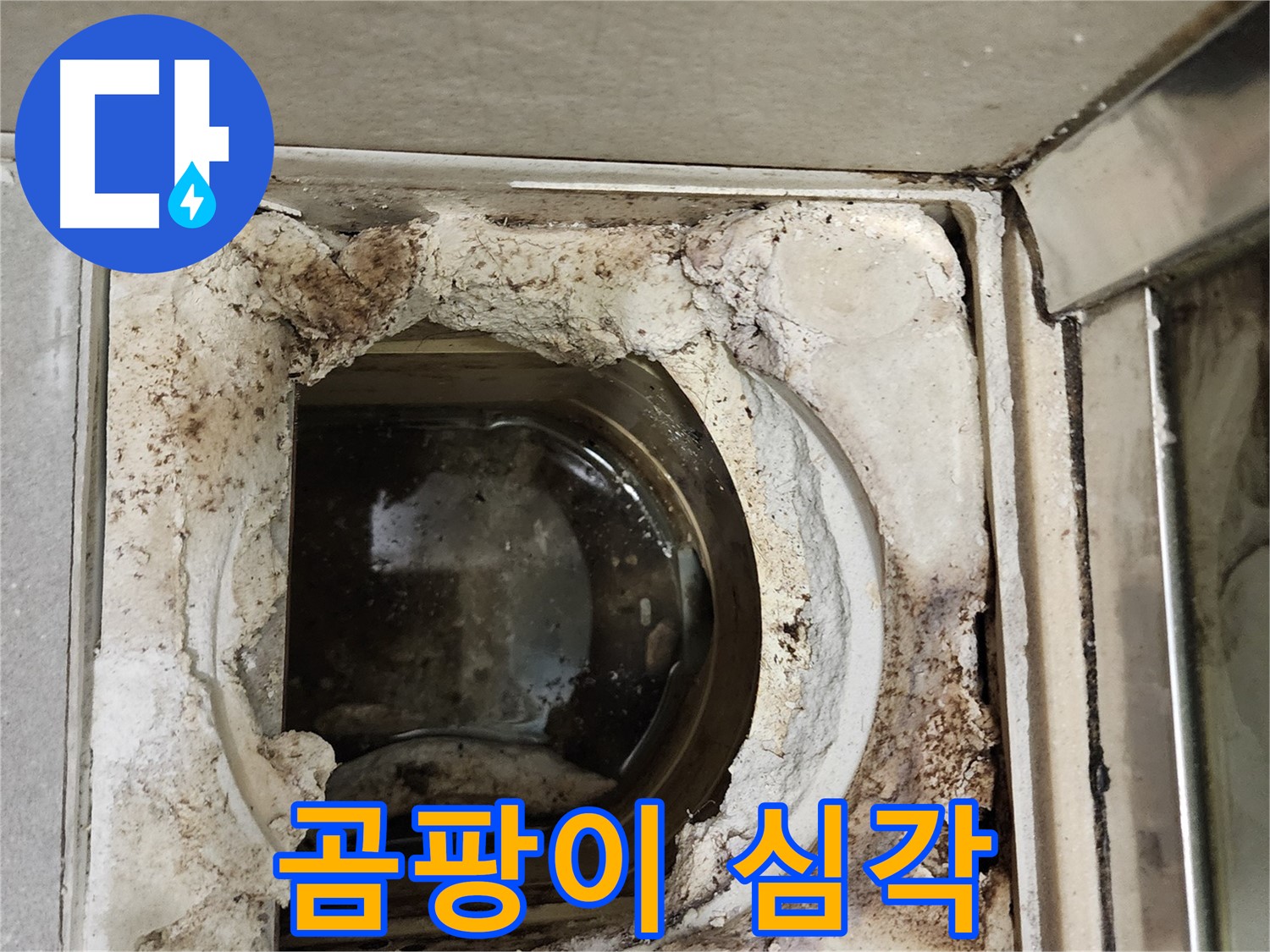 금호동2가 신금호파크자이 욕실 유가 주변 곰팡이 - 건강에 해로움
