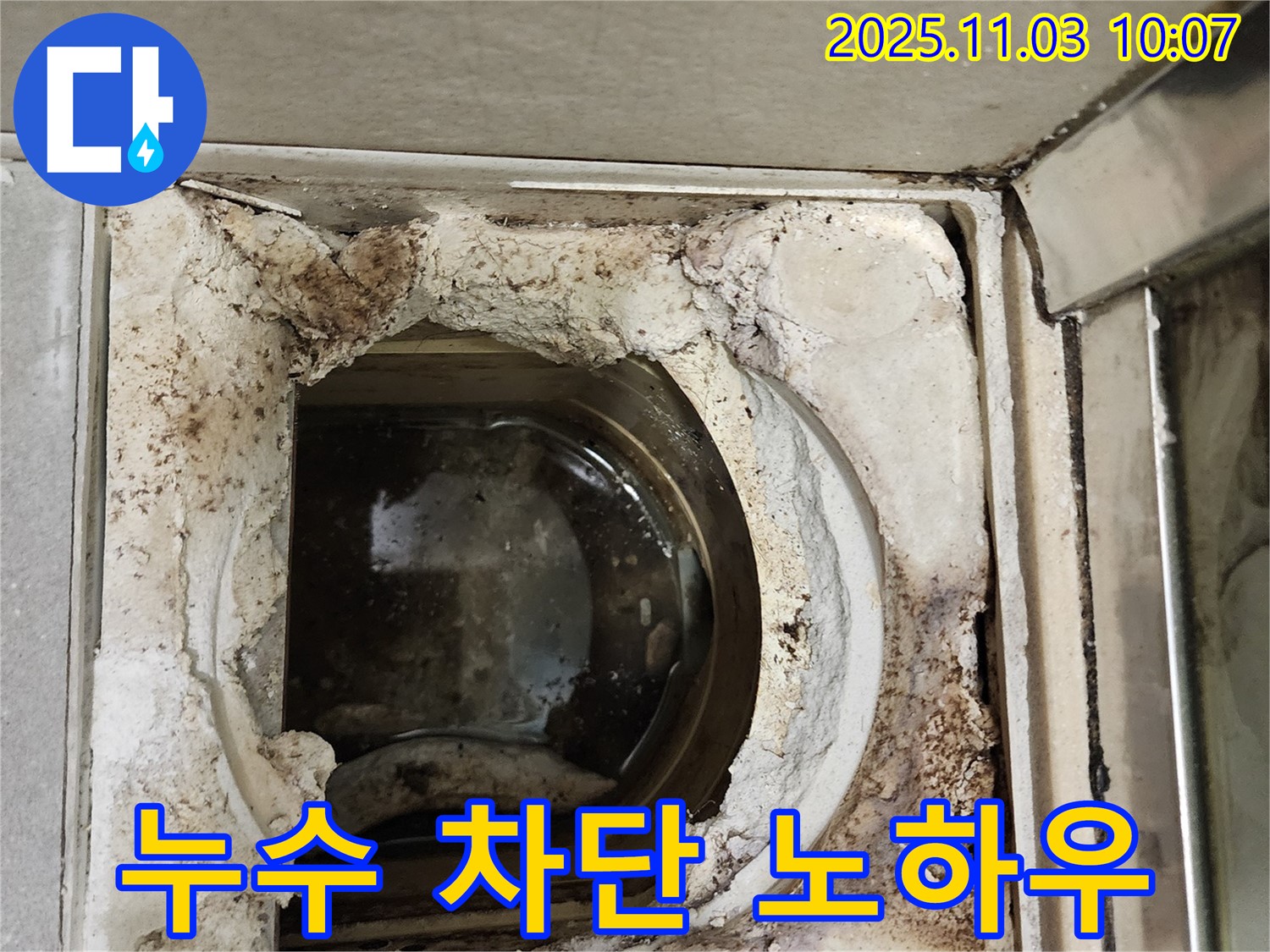 성동구 신금호파크자이 욕실 - 배수구 누수 완벽 차단 성공