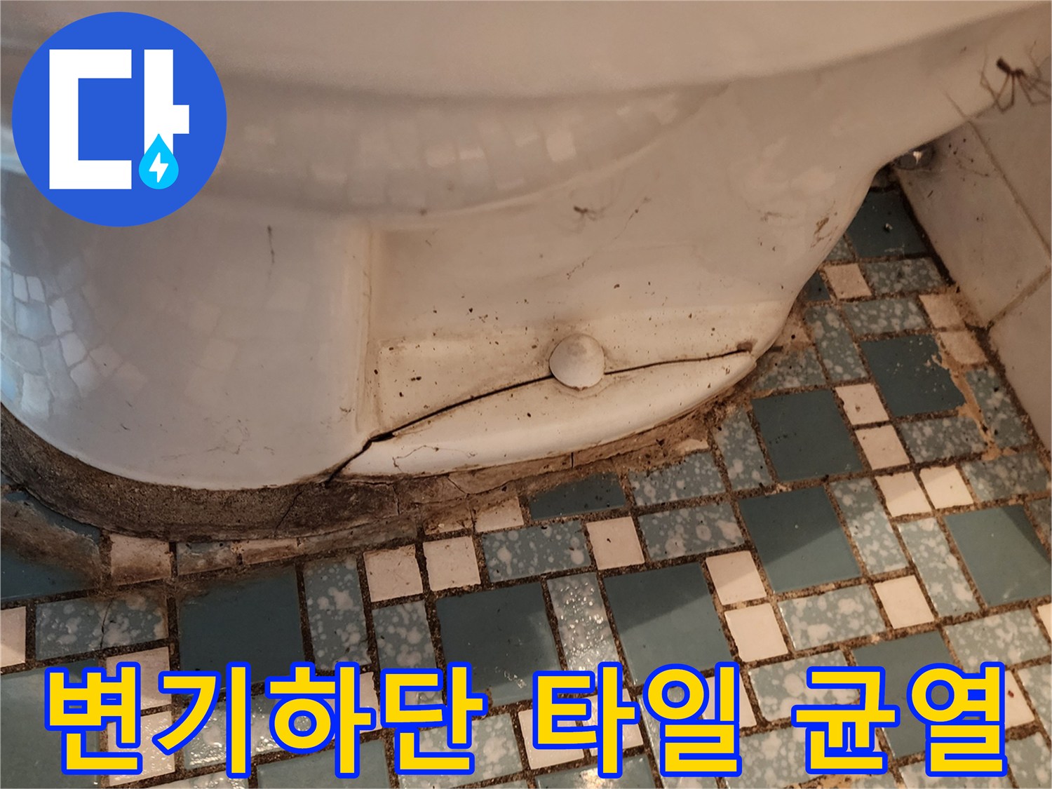 변기 하단부-타일 틈새에 발생한 미세한 균열과 오염 상태